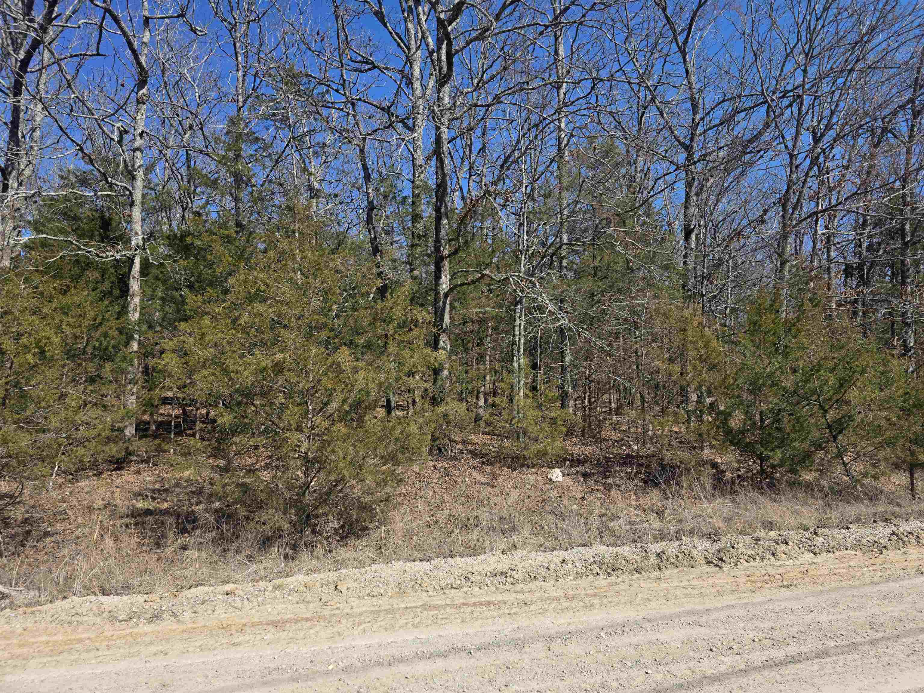 1112 Court Loop Property Photo 2