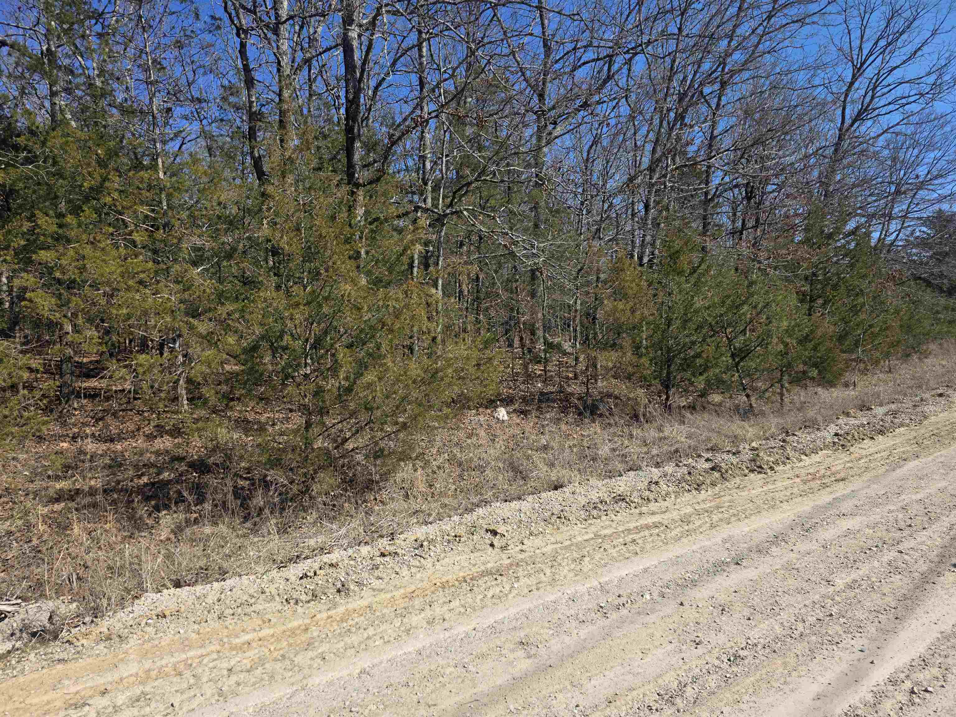 1112 Court Loop Property Photo 3