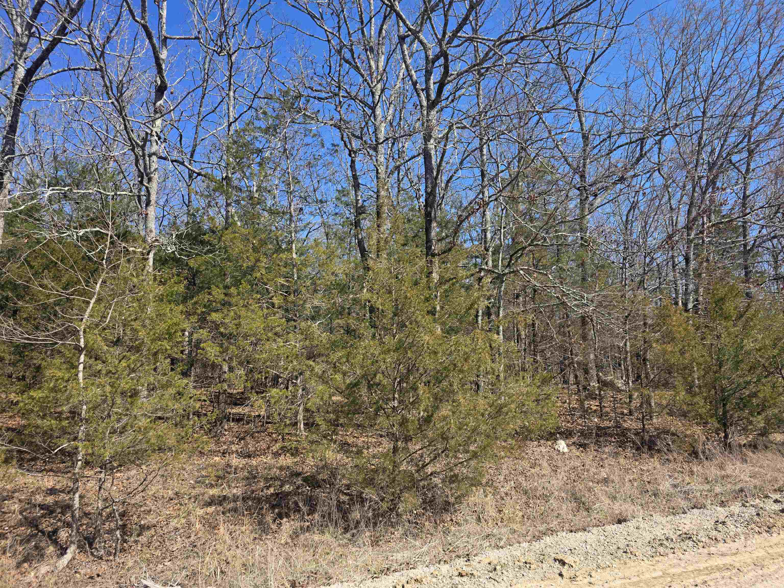 1112 Court Loop Property Photo 5