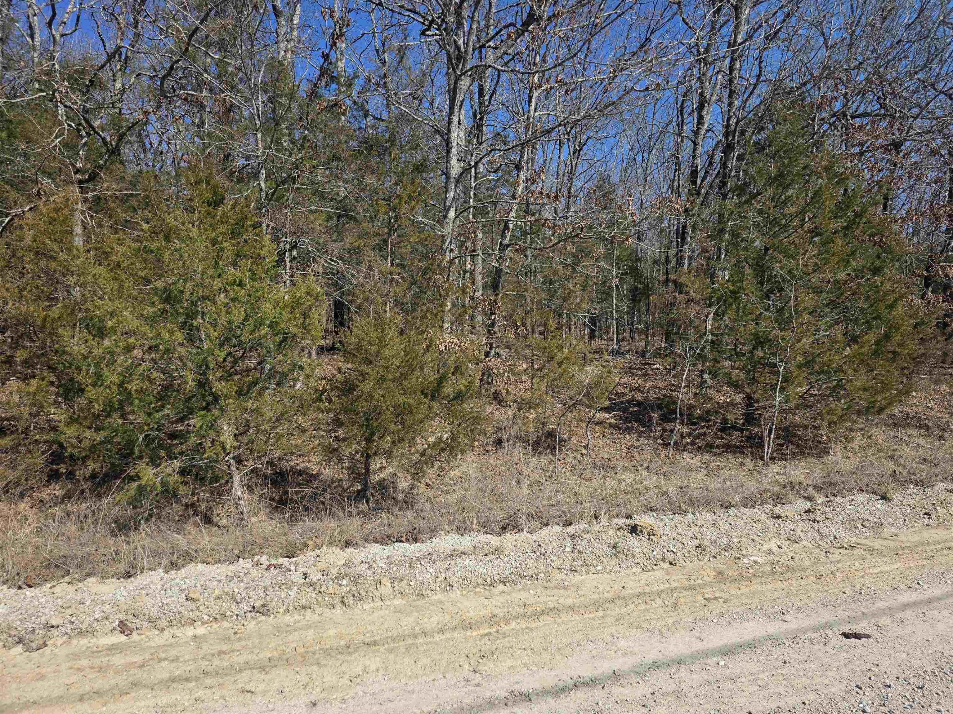 1112 Court Loop Property Photo 6