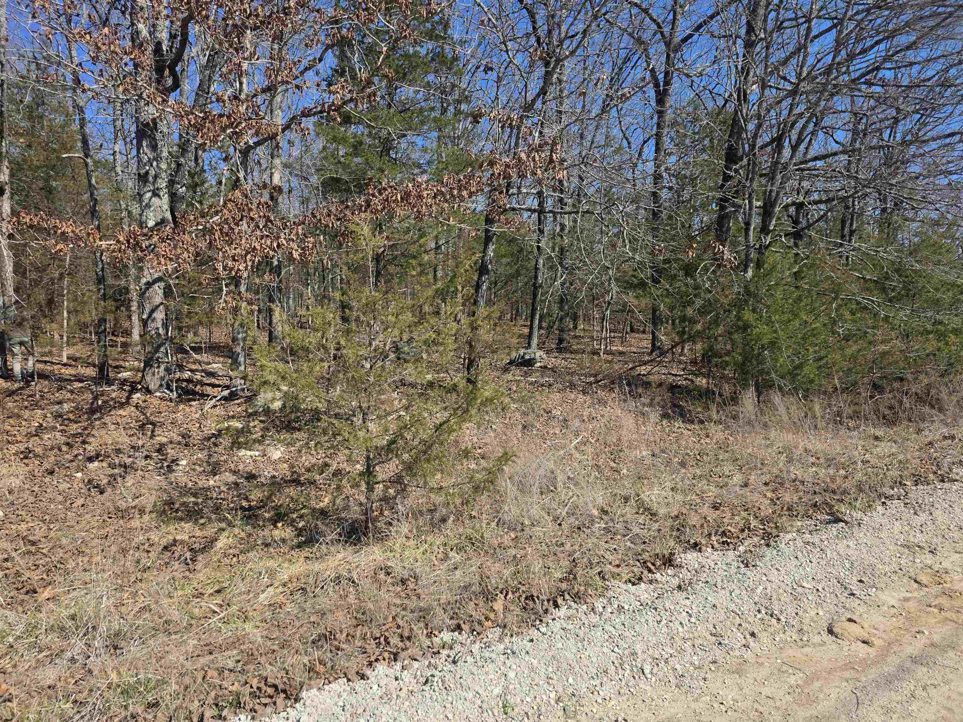 1112 Court Loop Property Photo 7