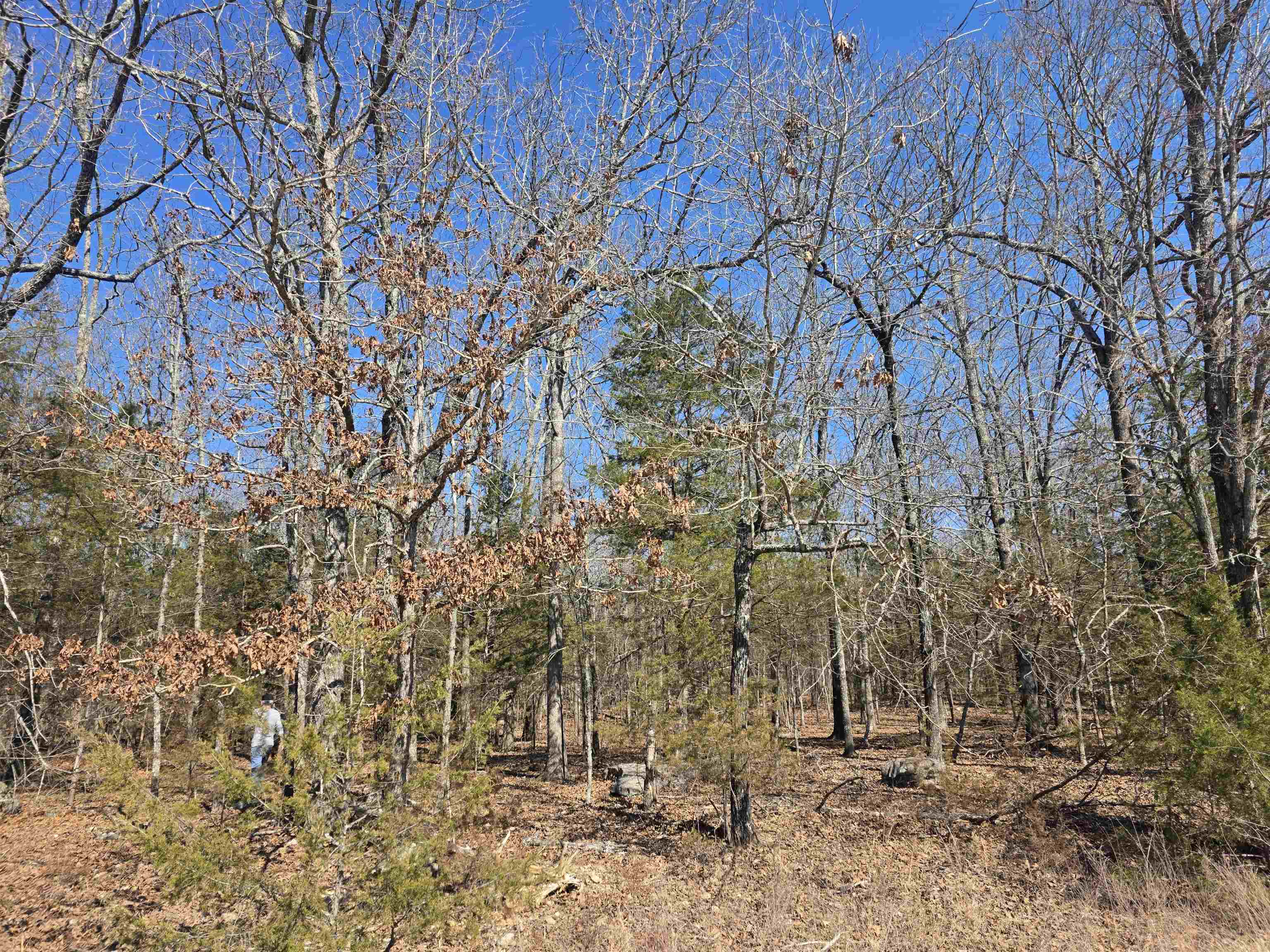 1112 Court Loop Property Photo 10