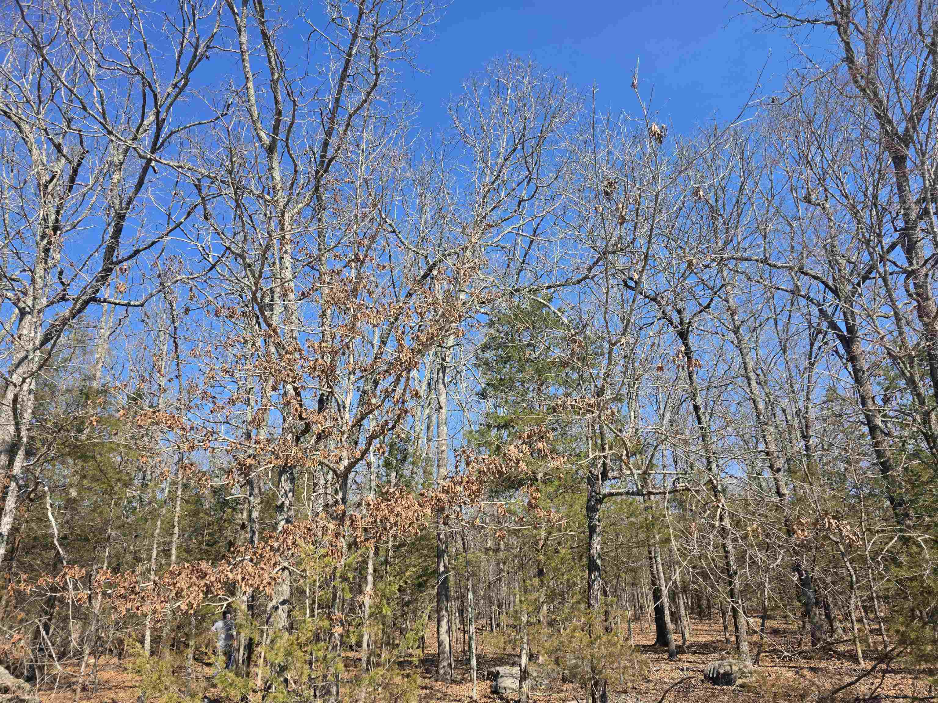 1112 Court Loop Property Photo 11