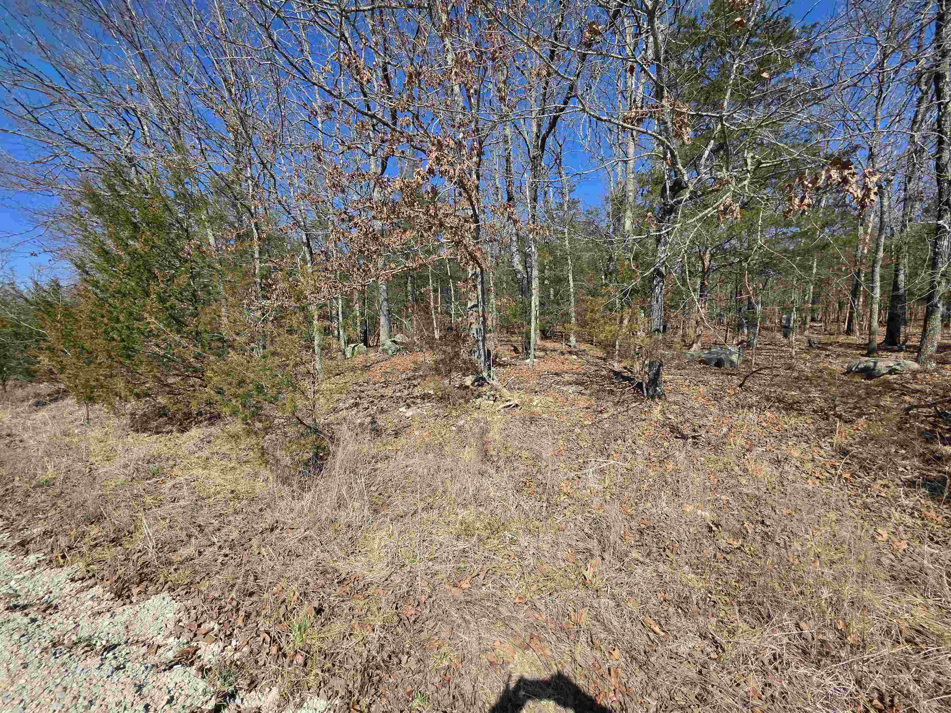 1112 Court Loop Property Photo 13