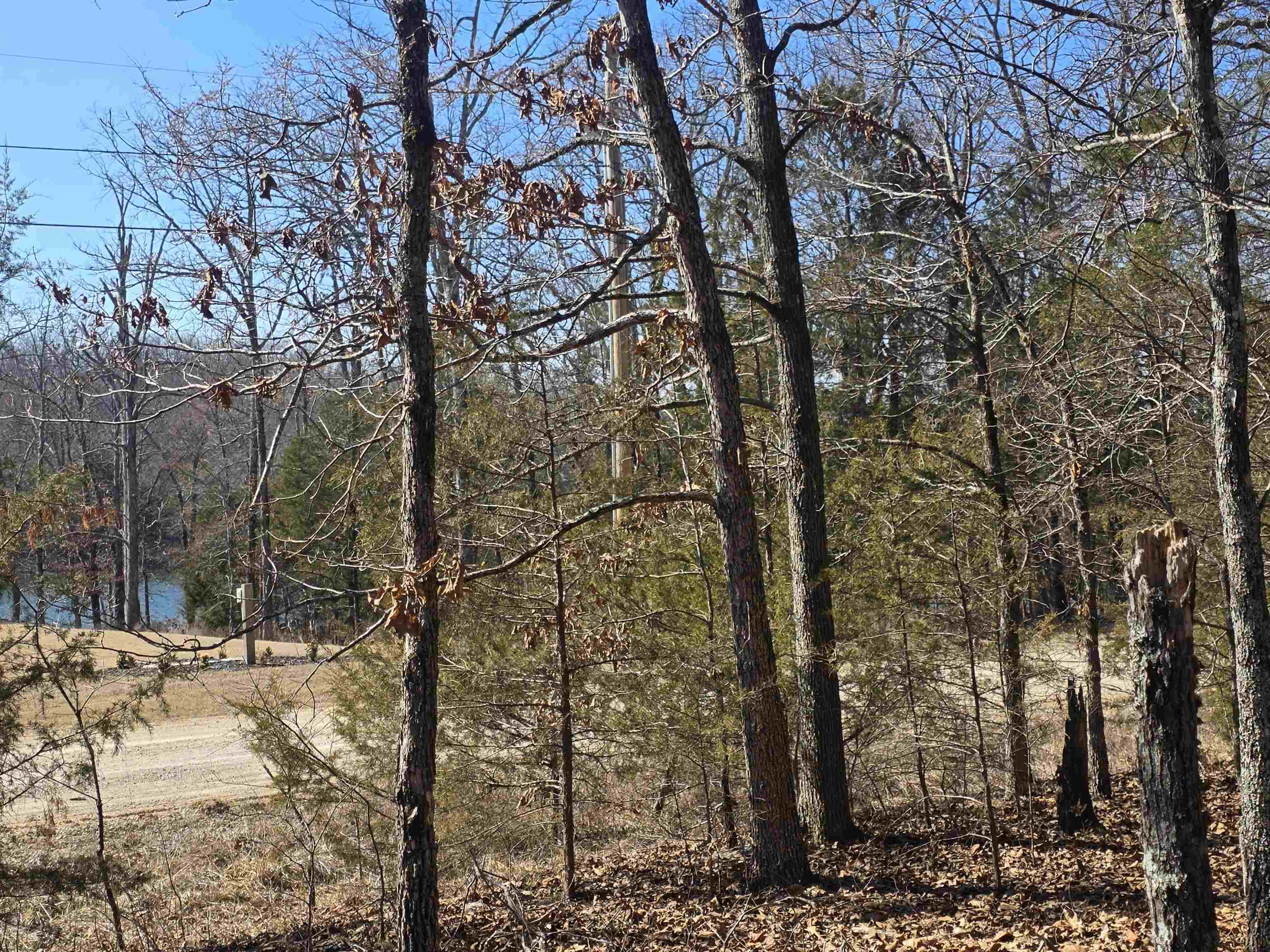 1112 Court Loop Property Photo 16