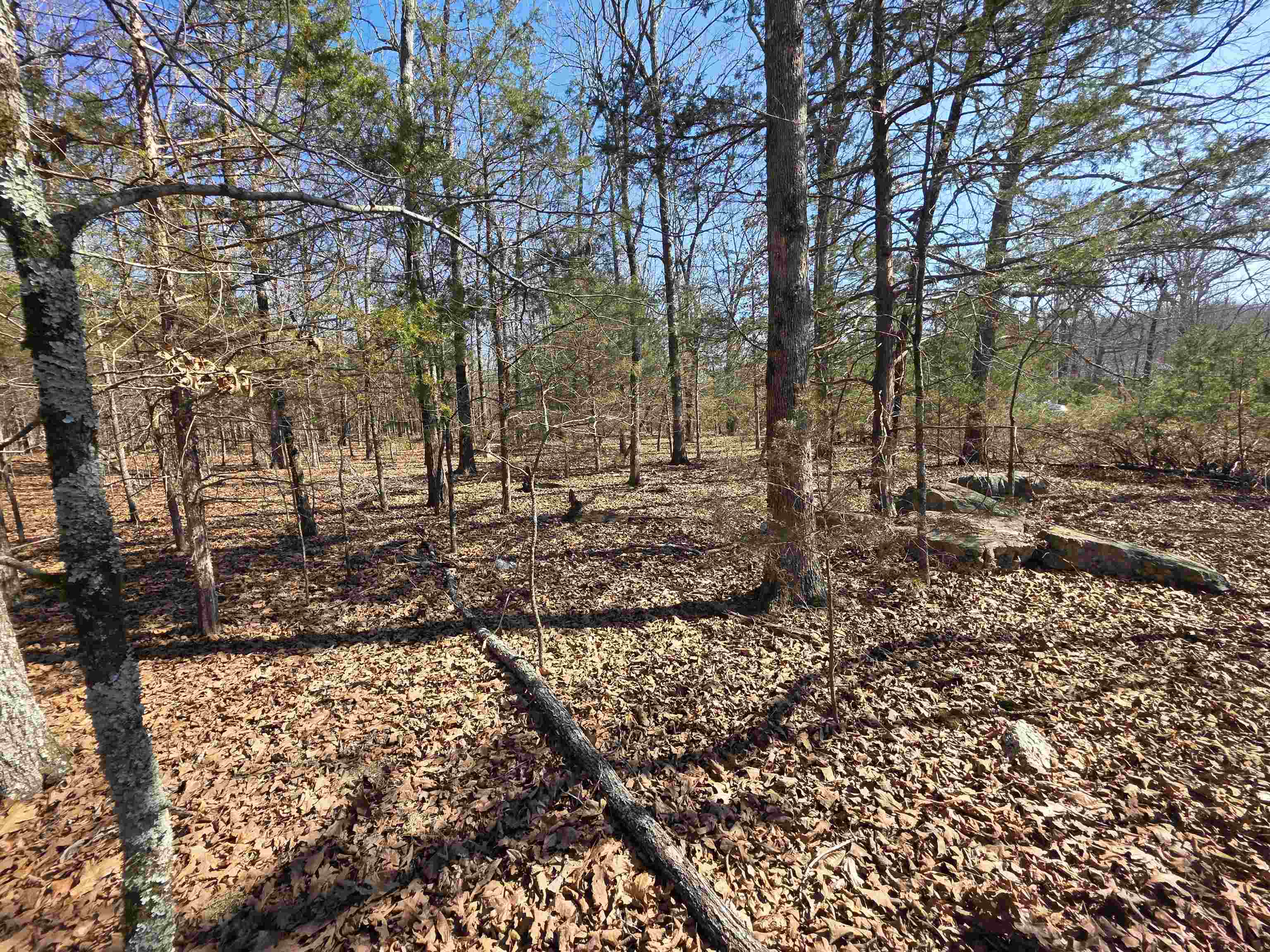 1112 Court Loop Property Photo 21