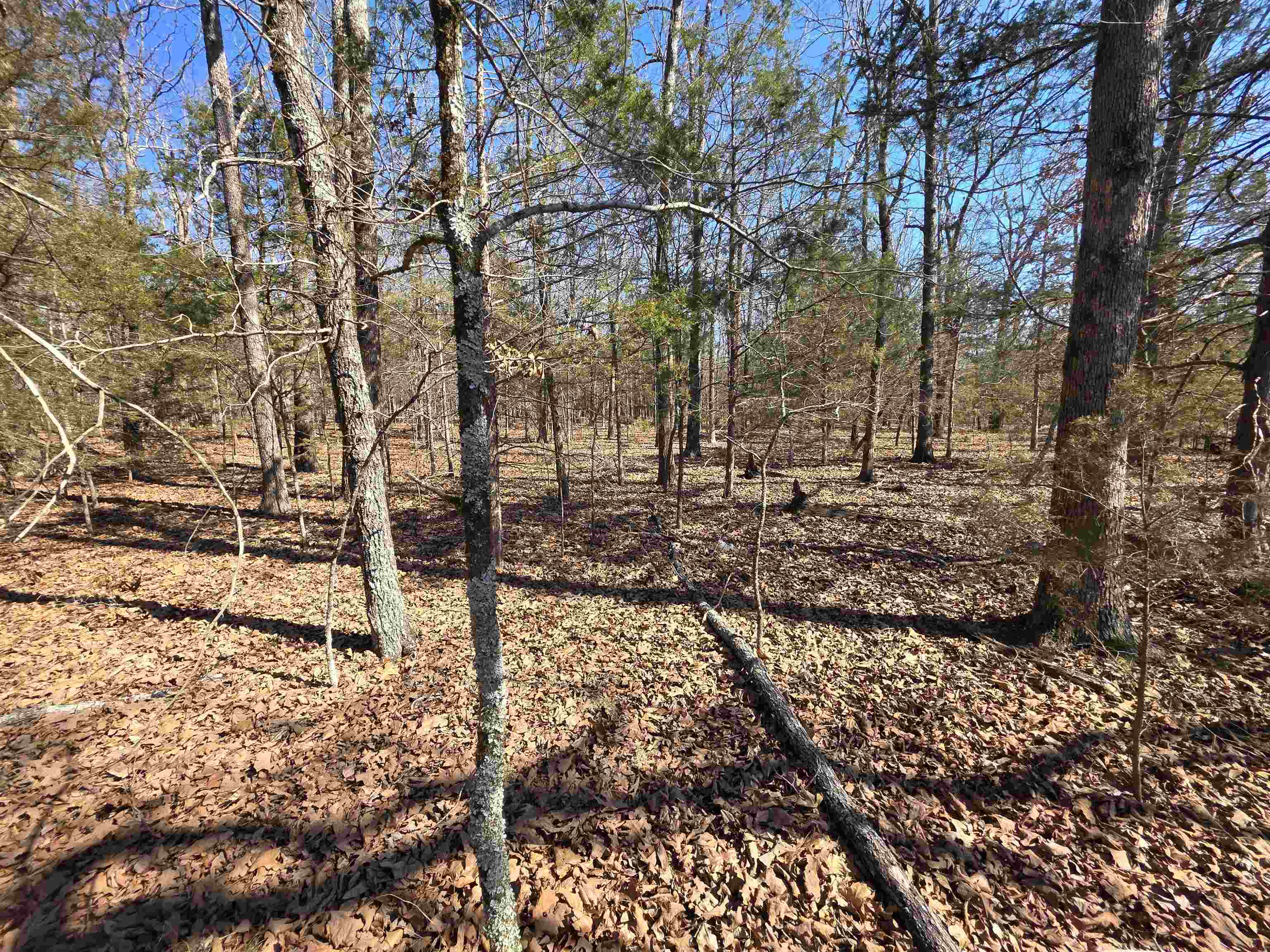 1112 Court Loop Property Photo 22