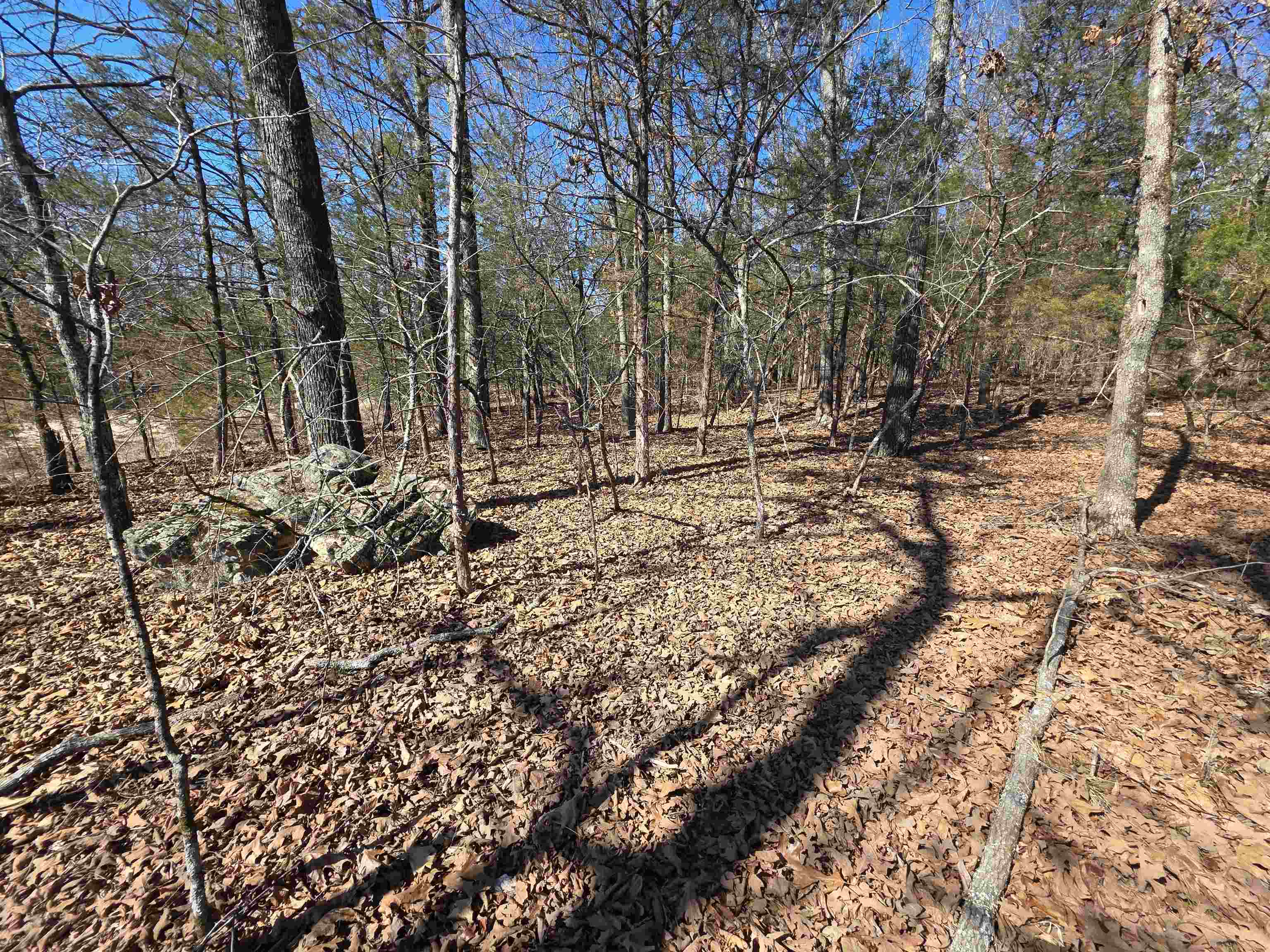 1112 Court Loop Property Photo 23