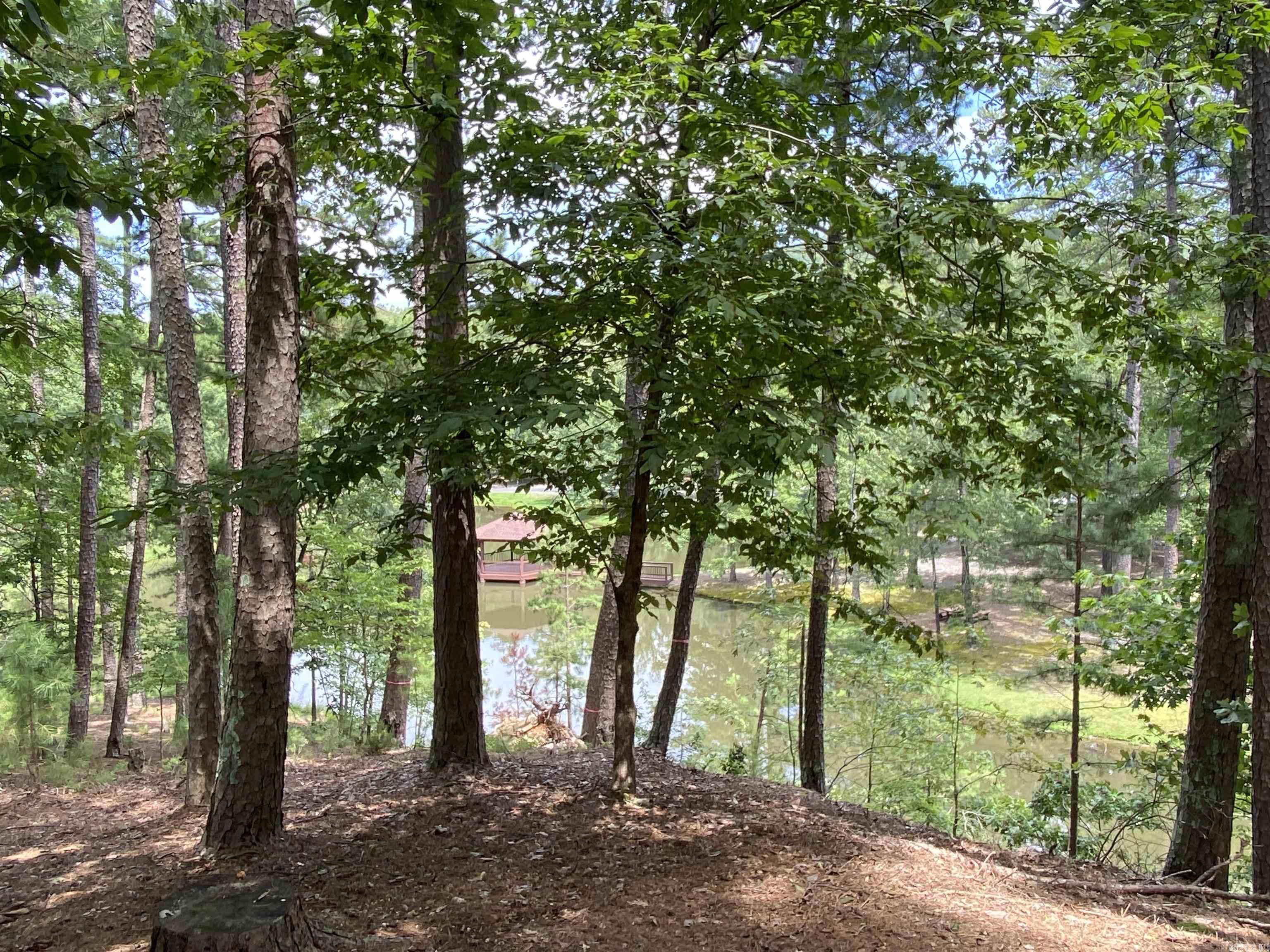 139 Ouachita Drive Property Photo 44