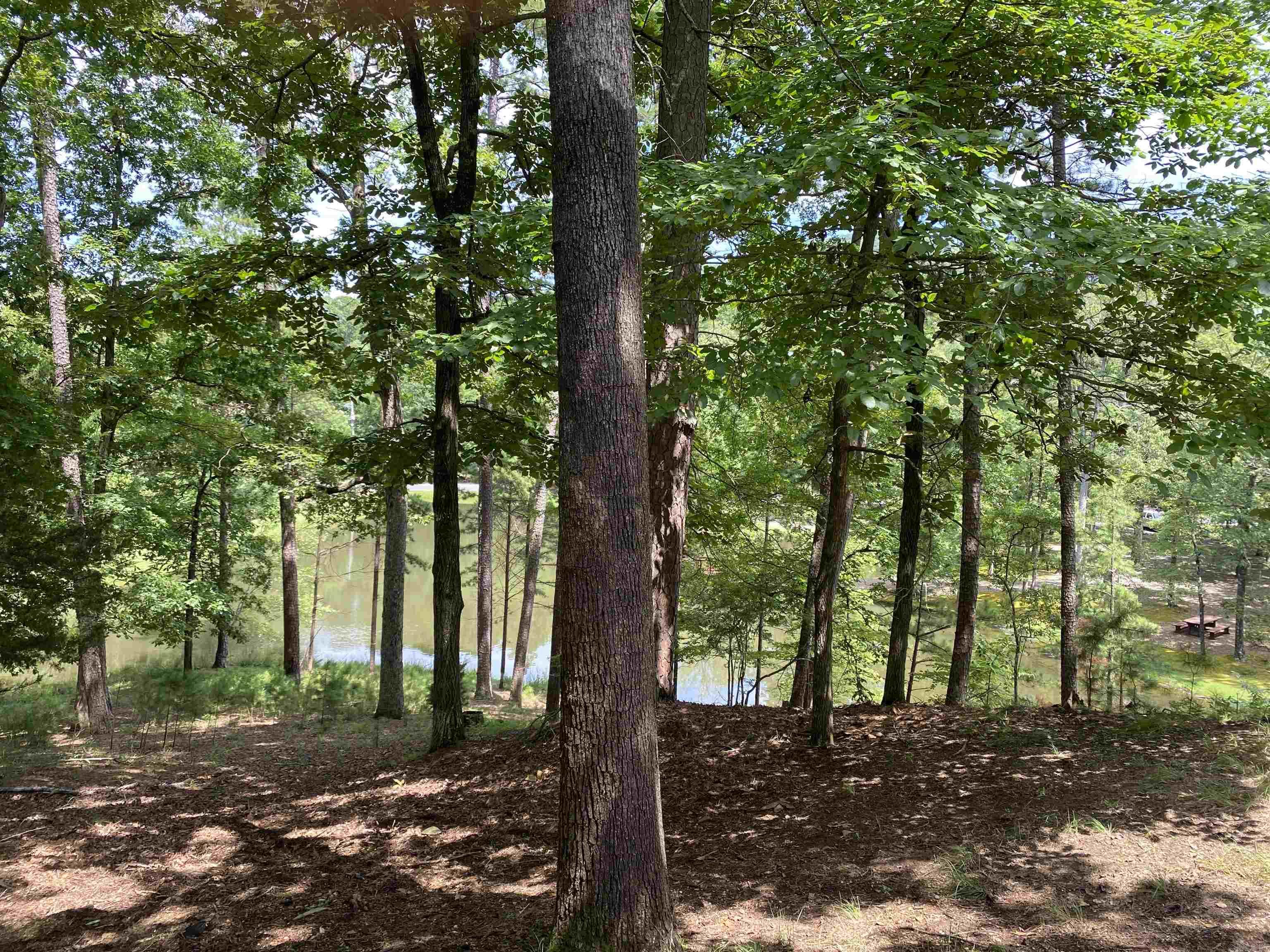 139 Ouachita Drive Property Photo 45