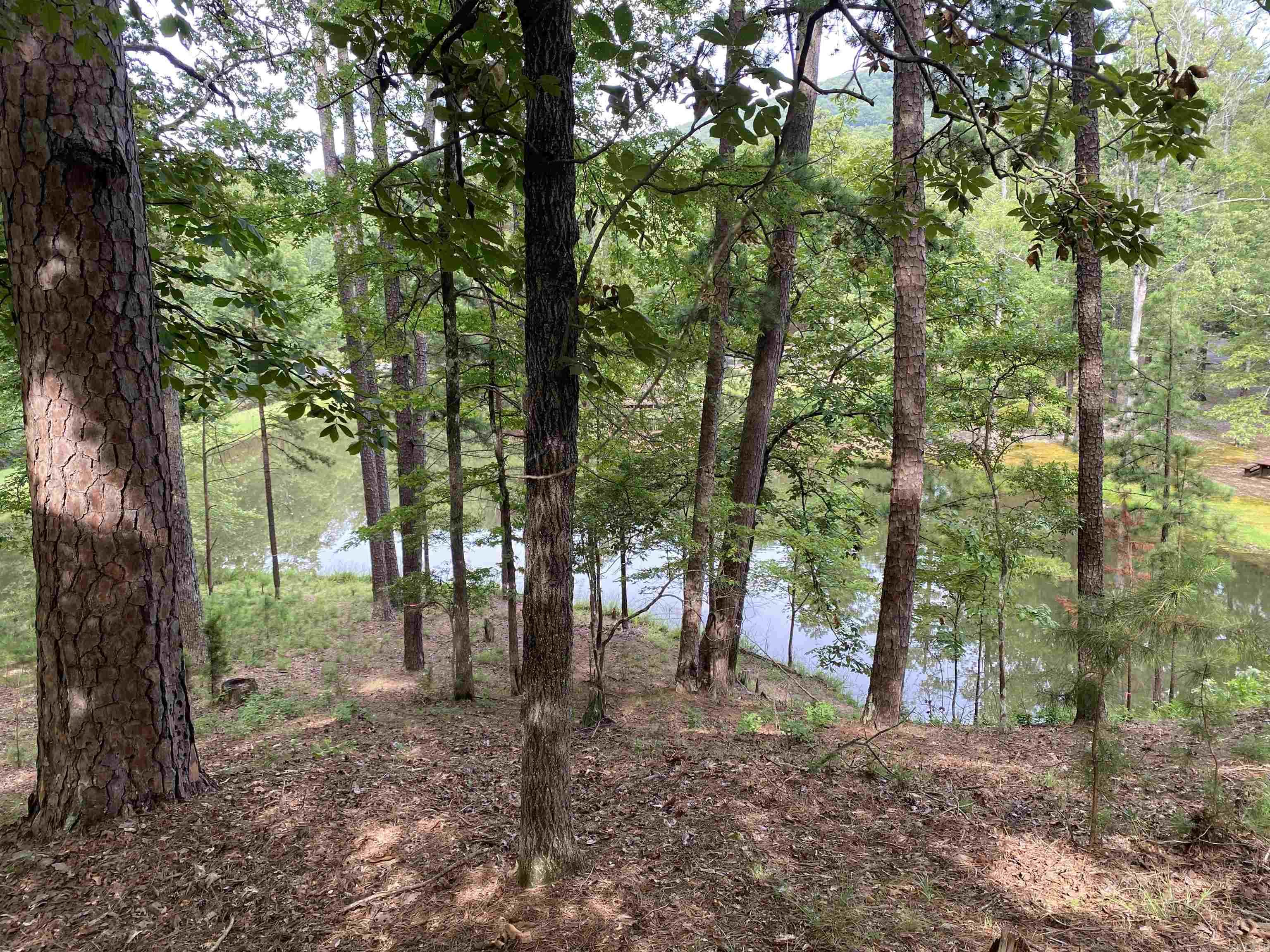 139 Ouachita Drive Property Photo 46