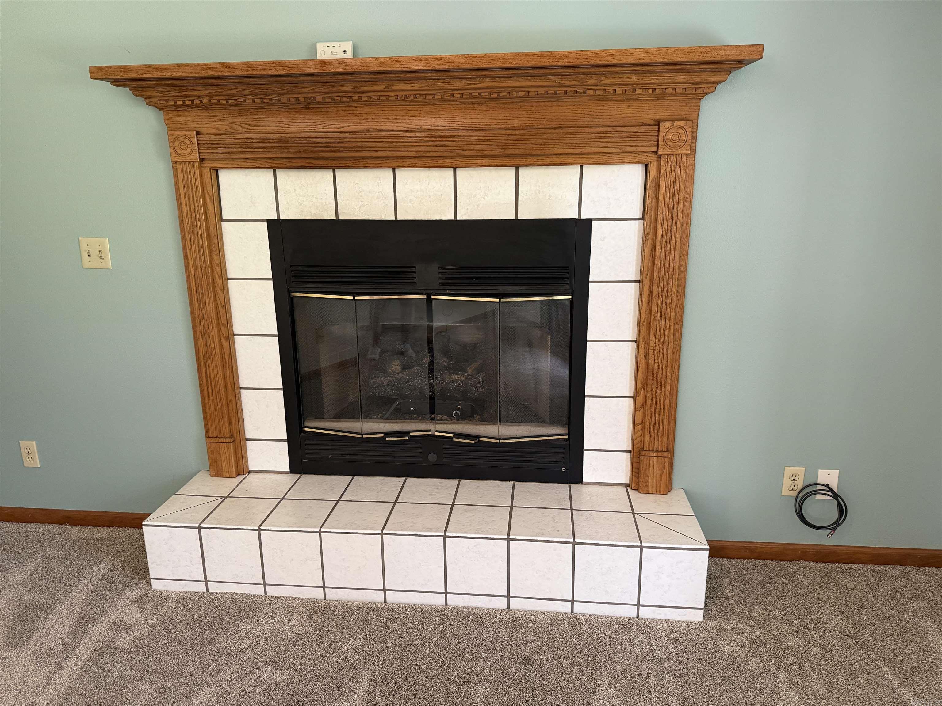 319 Snead Dr. Property Photo 11