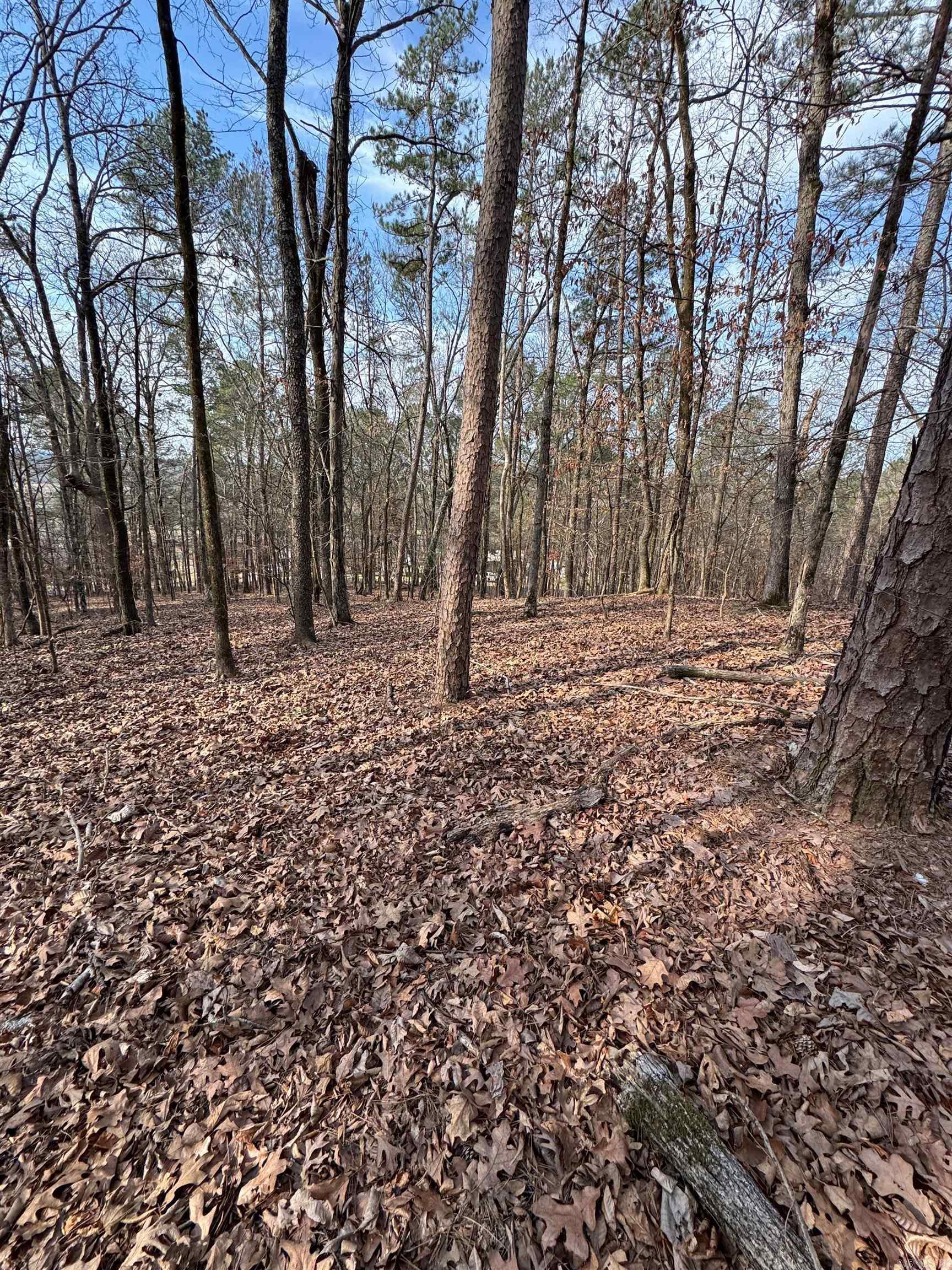 00 Hays Property Photo 1