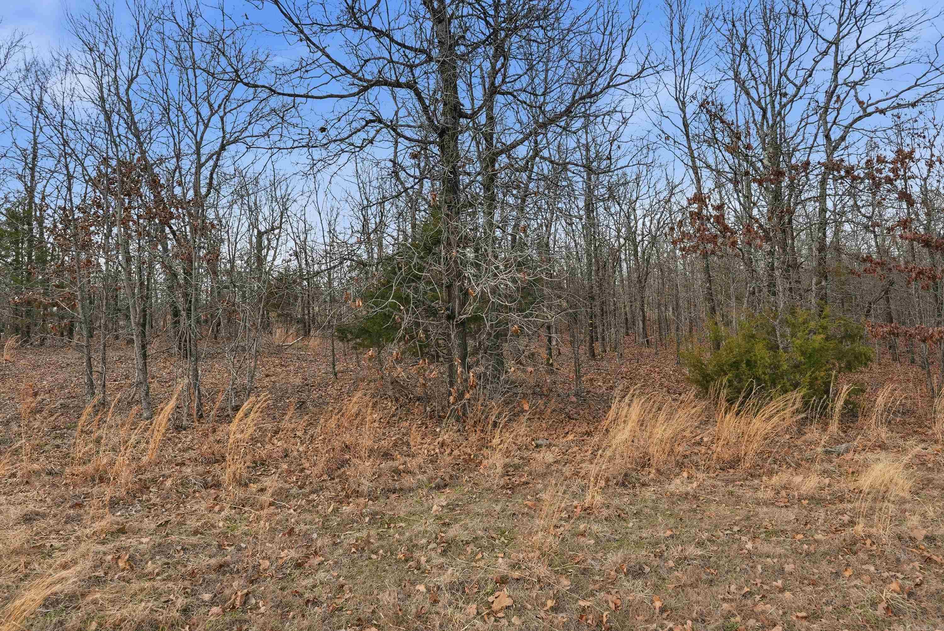 7 Logan Way Property Photo 5
