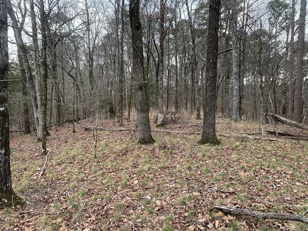 Lerida Circle Property Photo 6