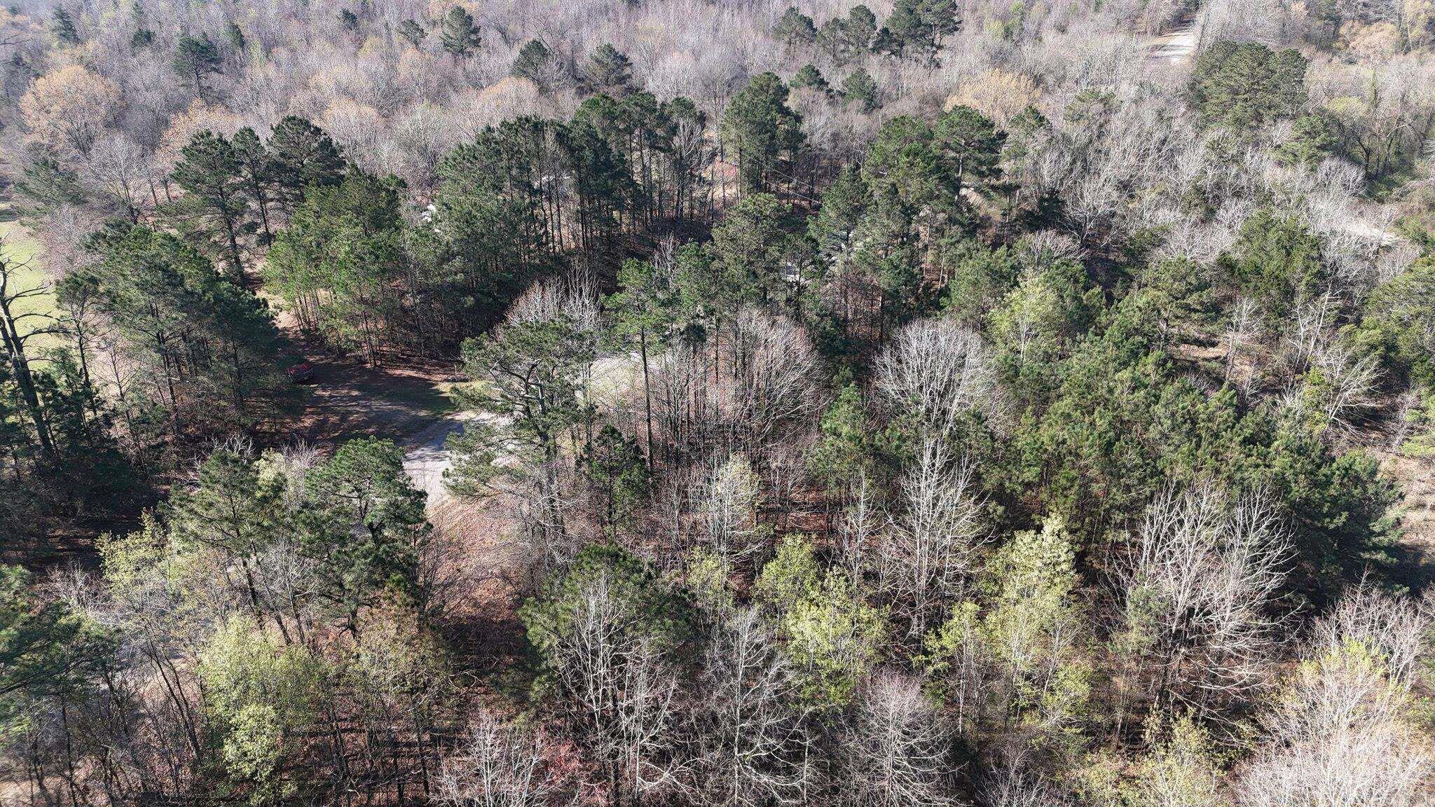 Tbd Gillham Lake Road Property Photo 4
