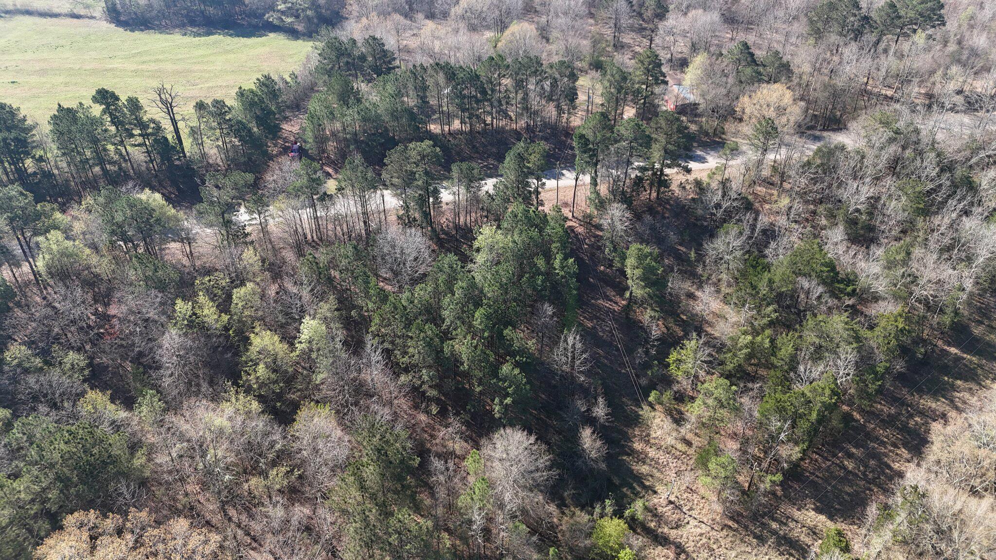 Tbd Gillham Lake Road Property Photo 5