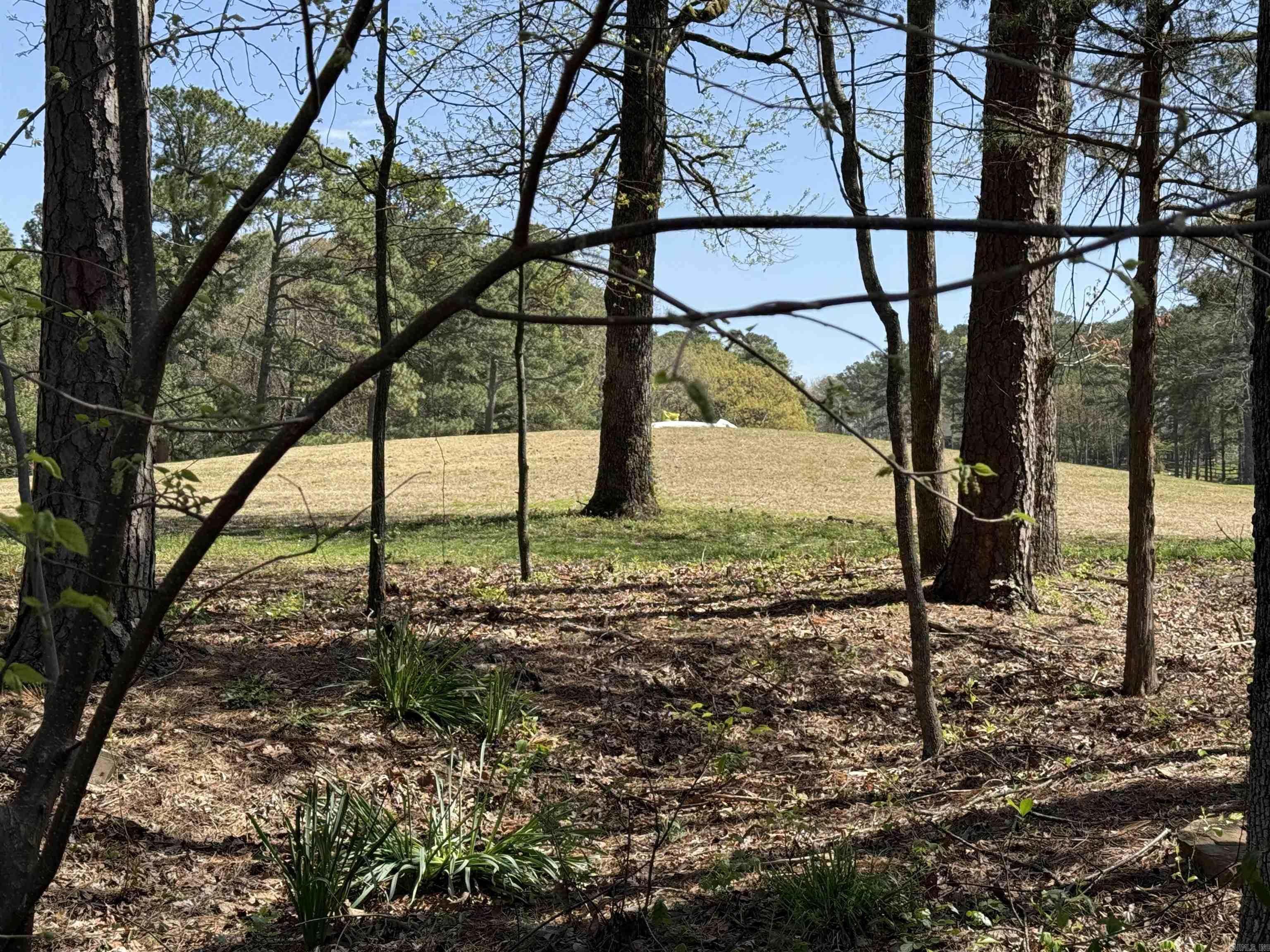 233 Rock Hill Road Property Photo 49