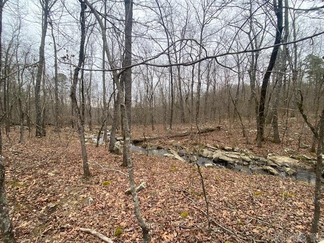 Lot 77 Mustang Drive Property Photo 3