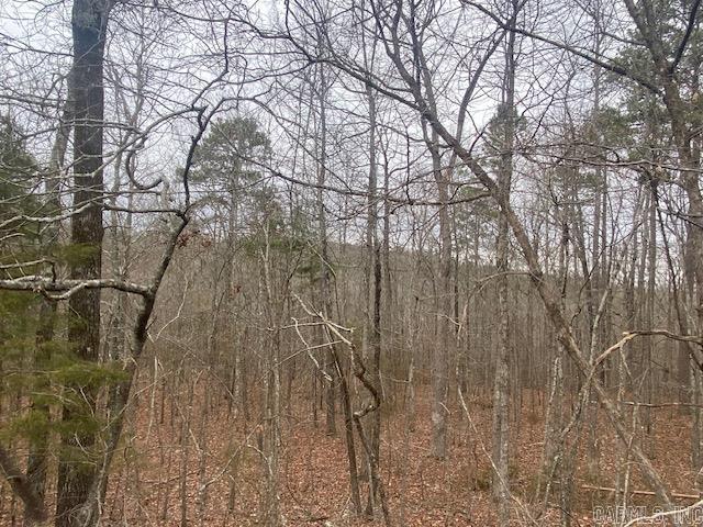 Lot 77 Mustang Drive Property Photo 4