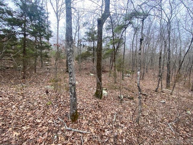 Lot 77 Mustang Drive Property Photo 6