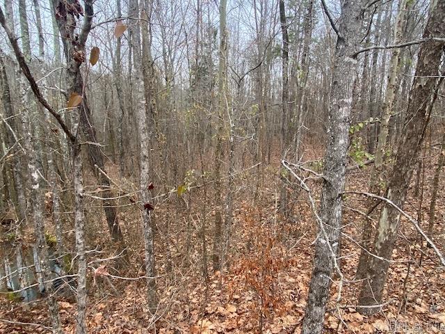 Lot 77 Mustang Drive Property Photo 7