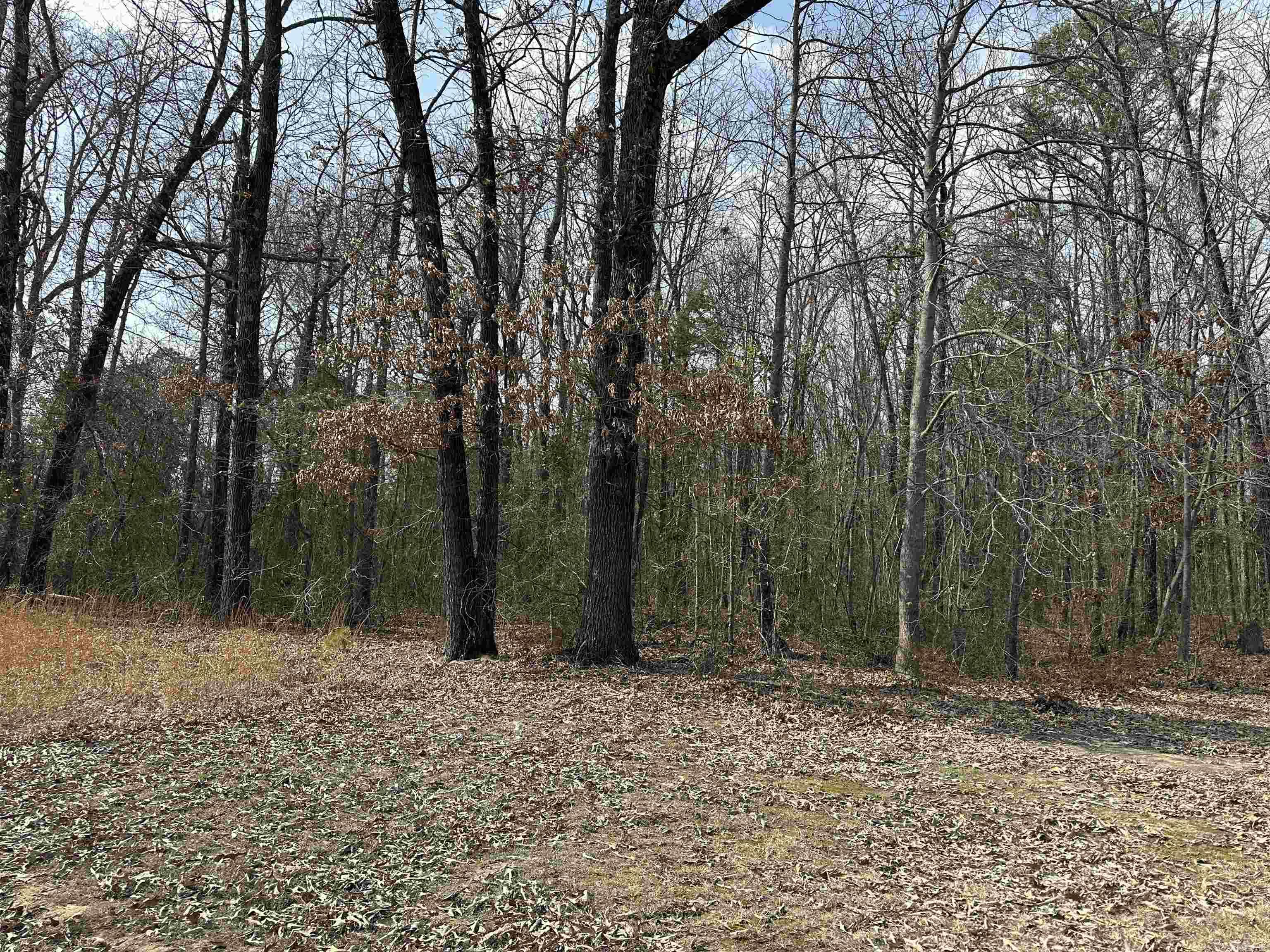 00 Edgemont/woodland Property Photo 2