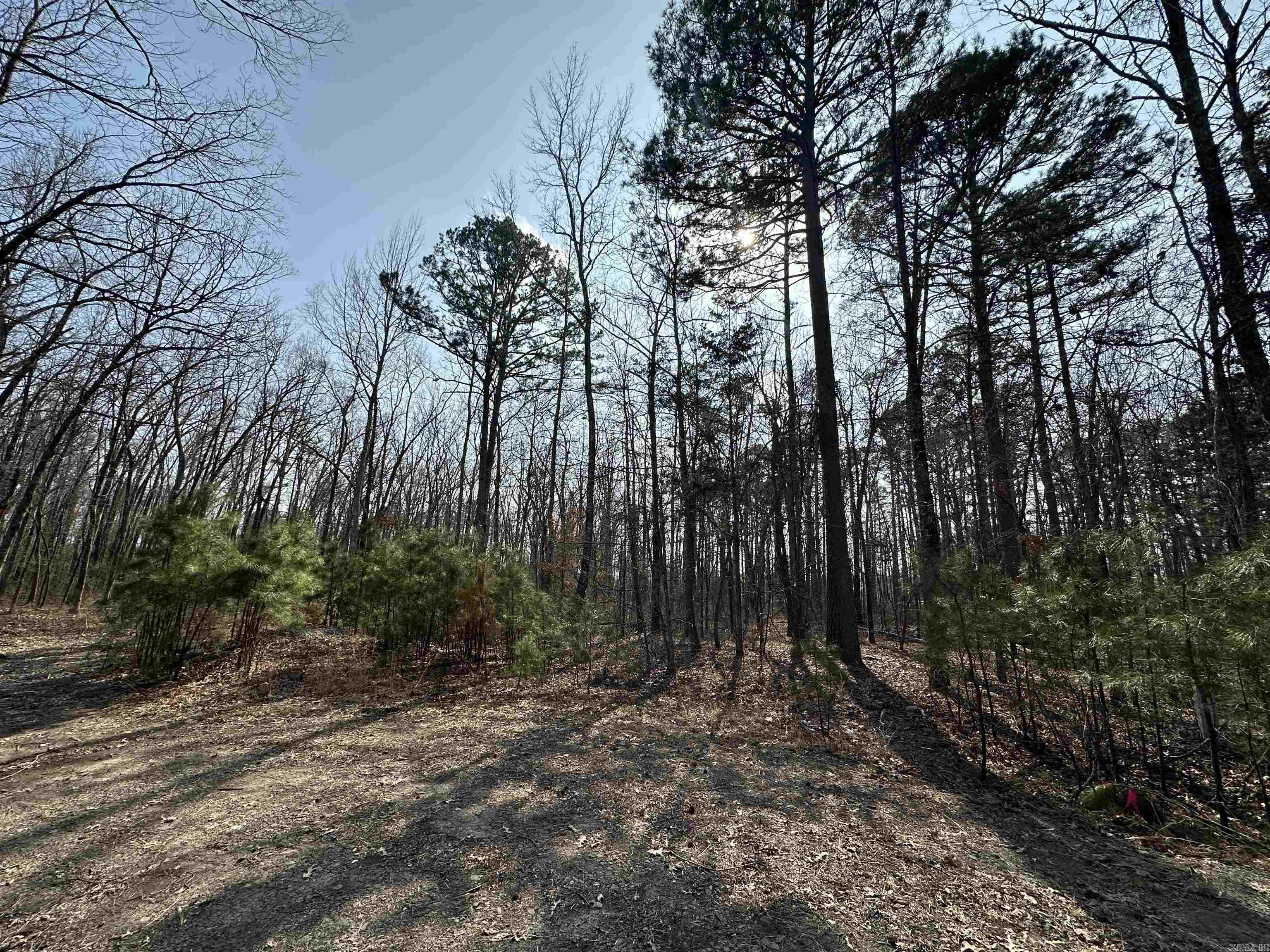 00 Edgemont/woodland Property Photo 3