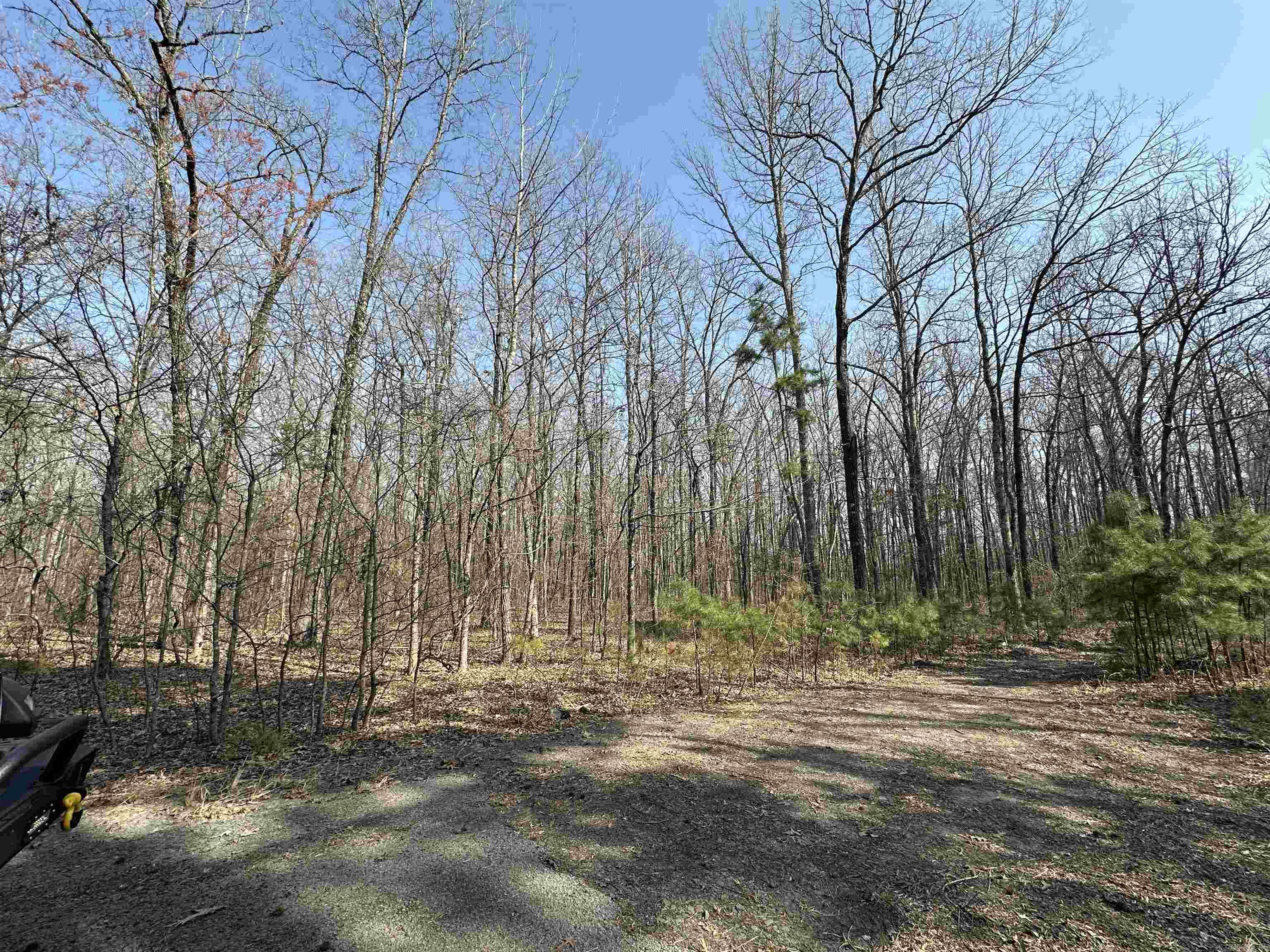 00 Edgemont/woodland Property Photo 4