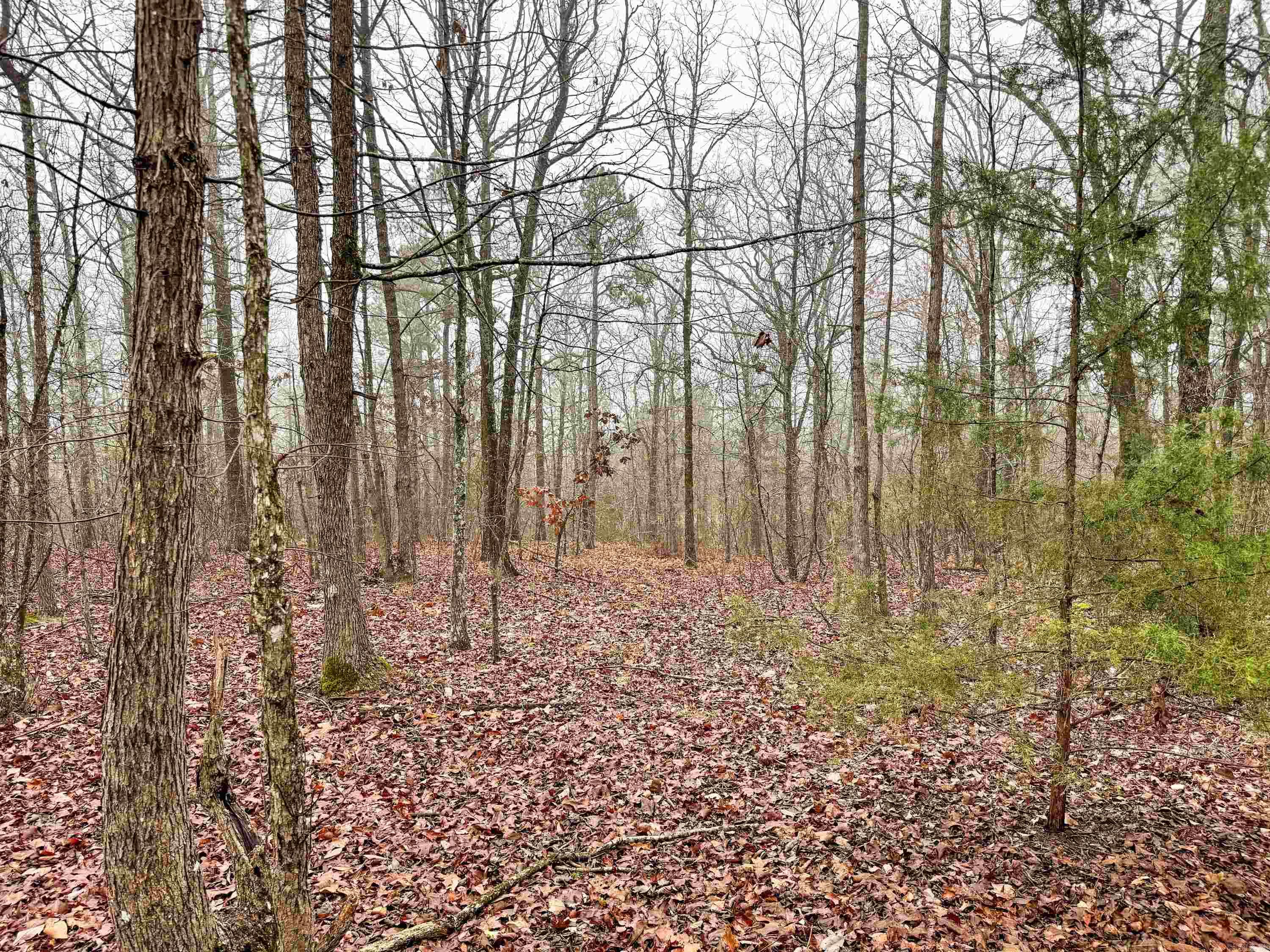 37 High Point Drive Property Photo 13
