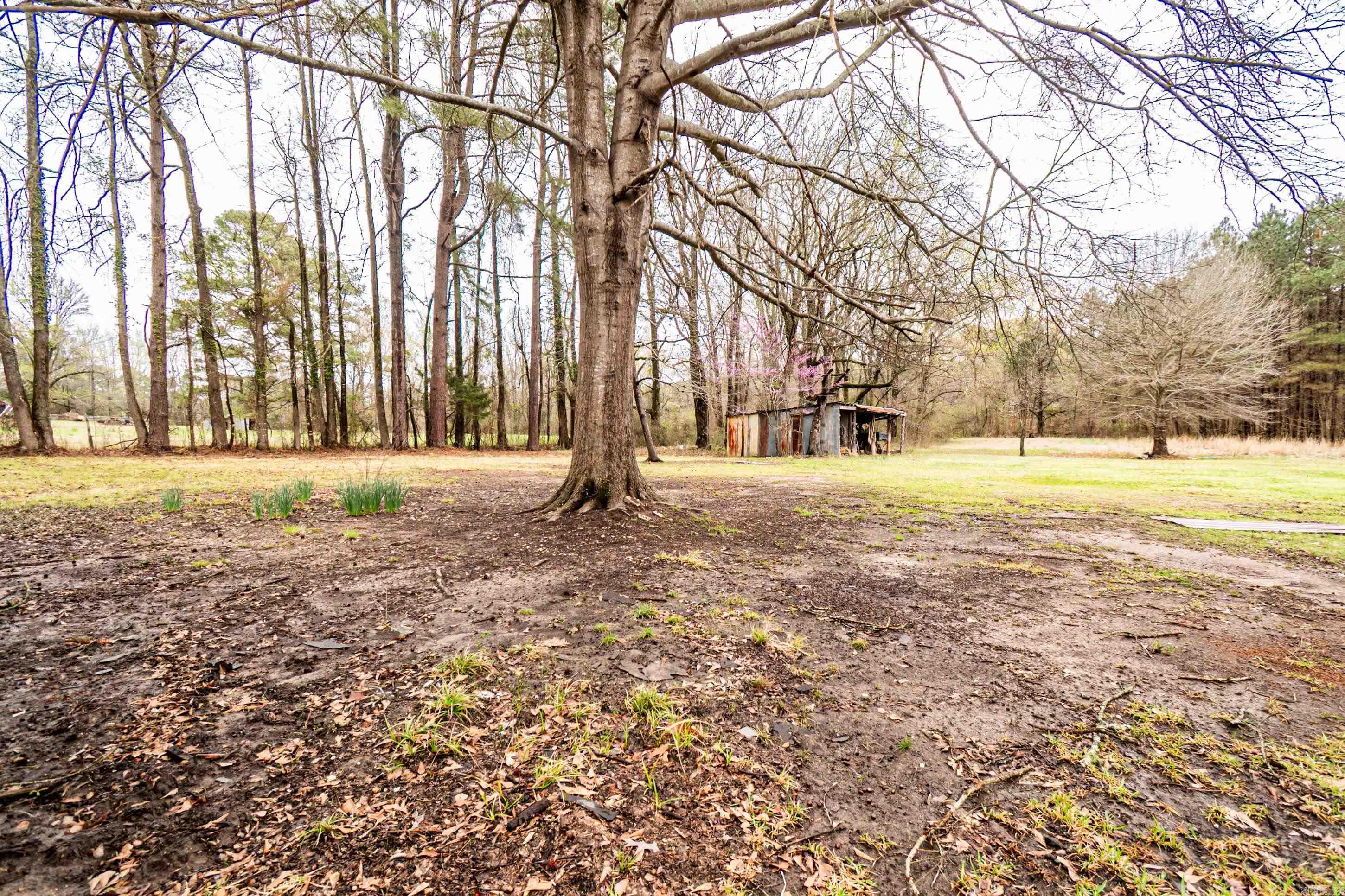 438 Midway Rte Property Photo 4