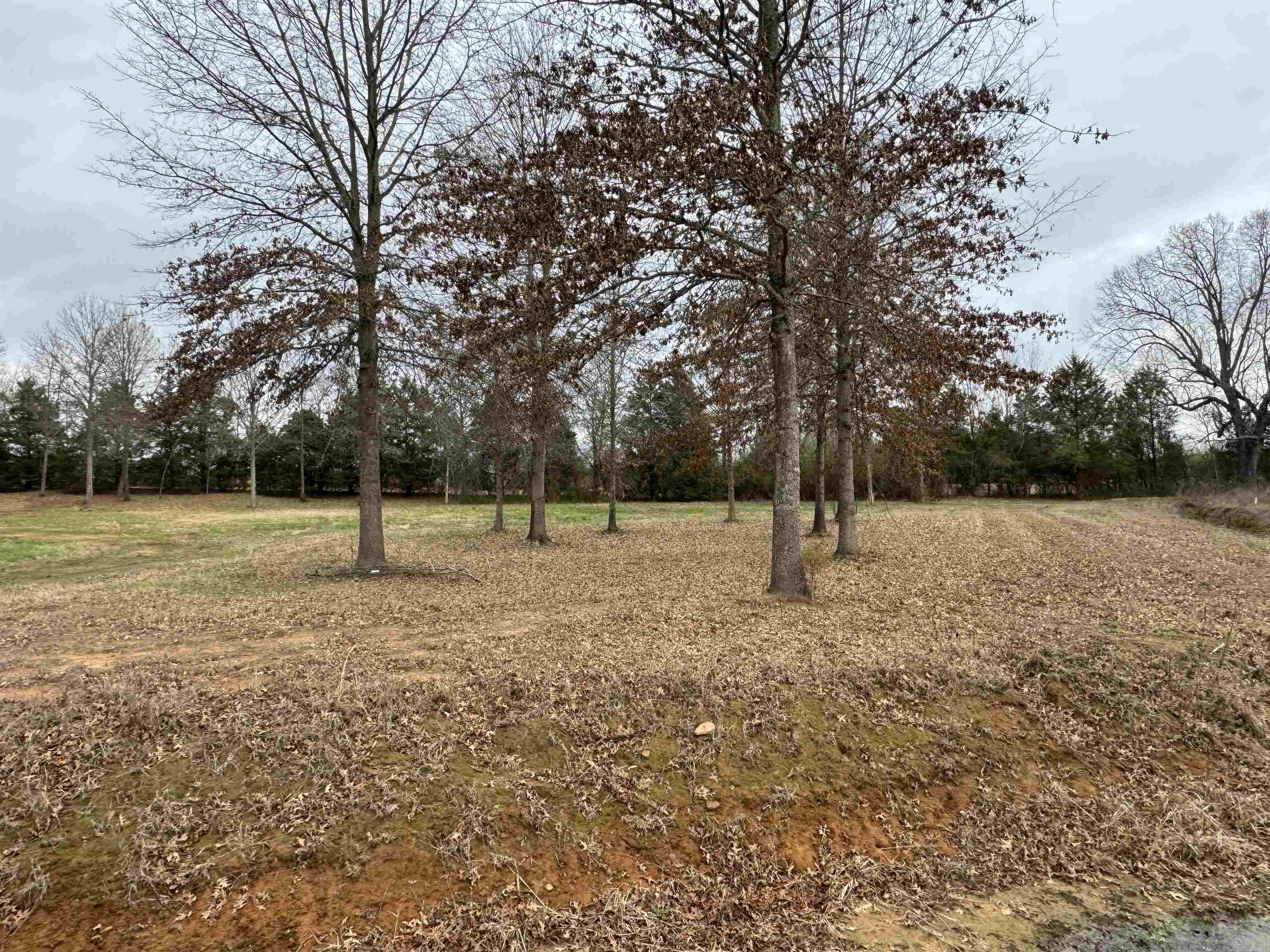 27r River Birch Drive Property Photo 1