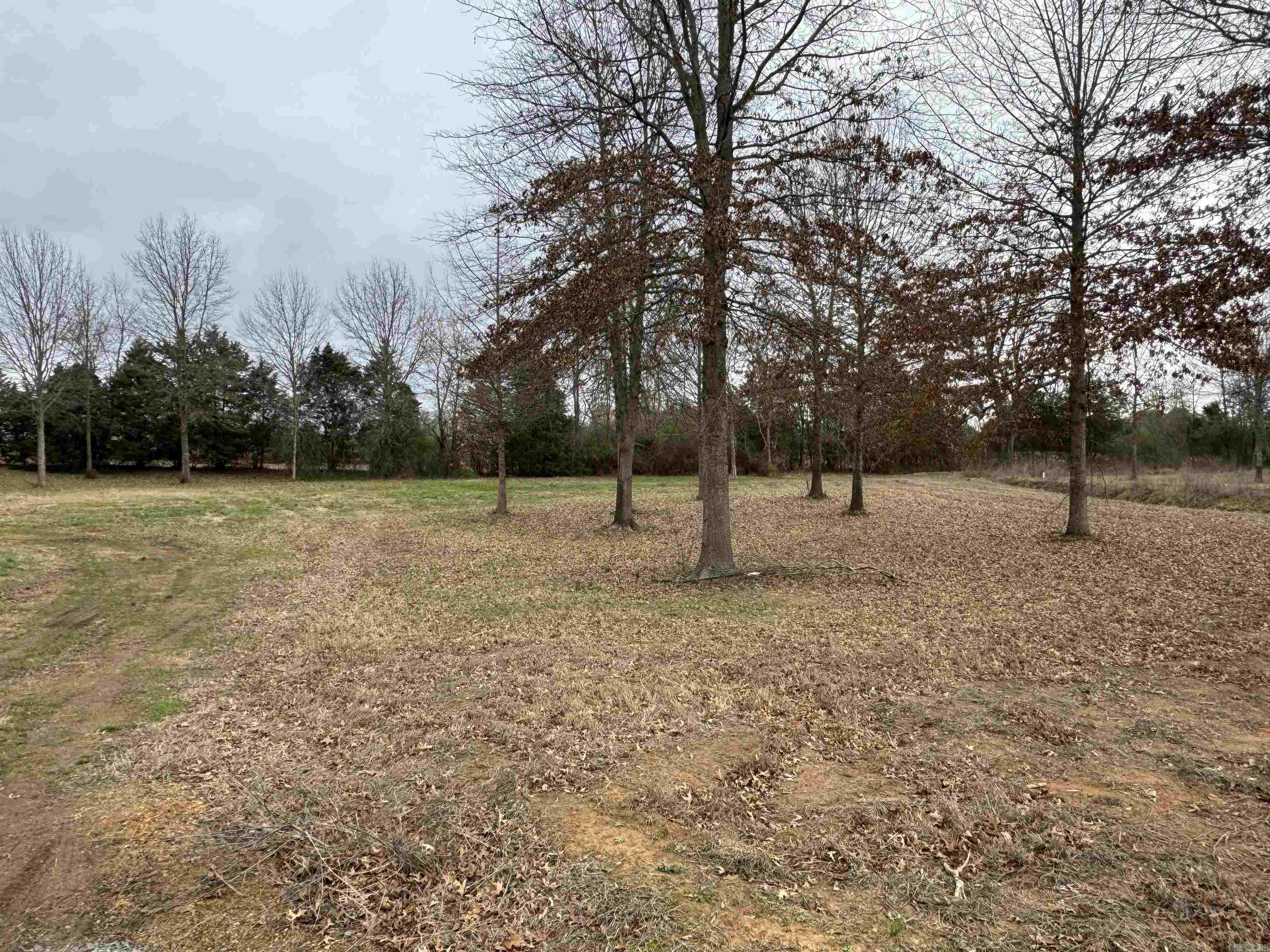 27r River Birch Drive Property Photo 2