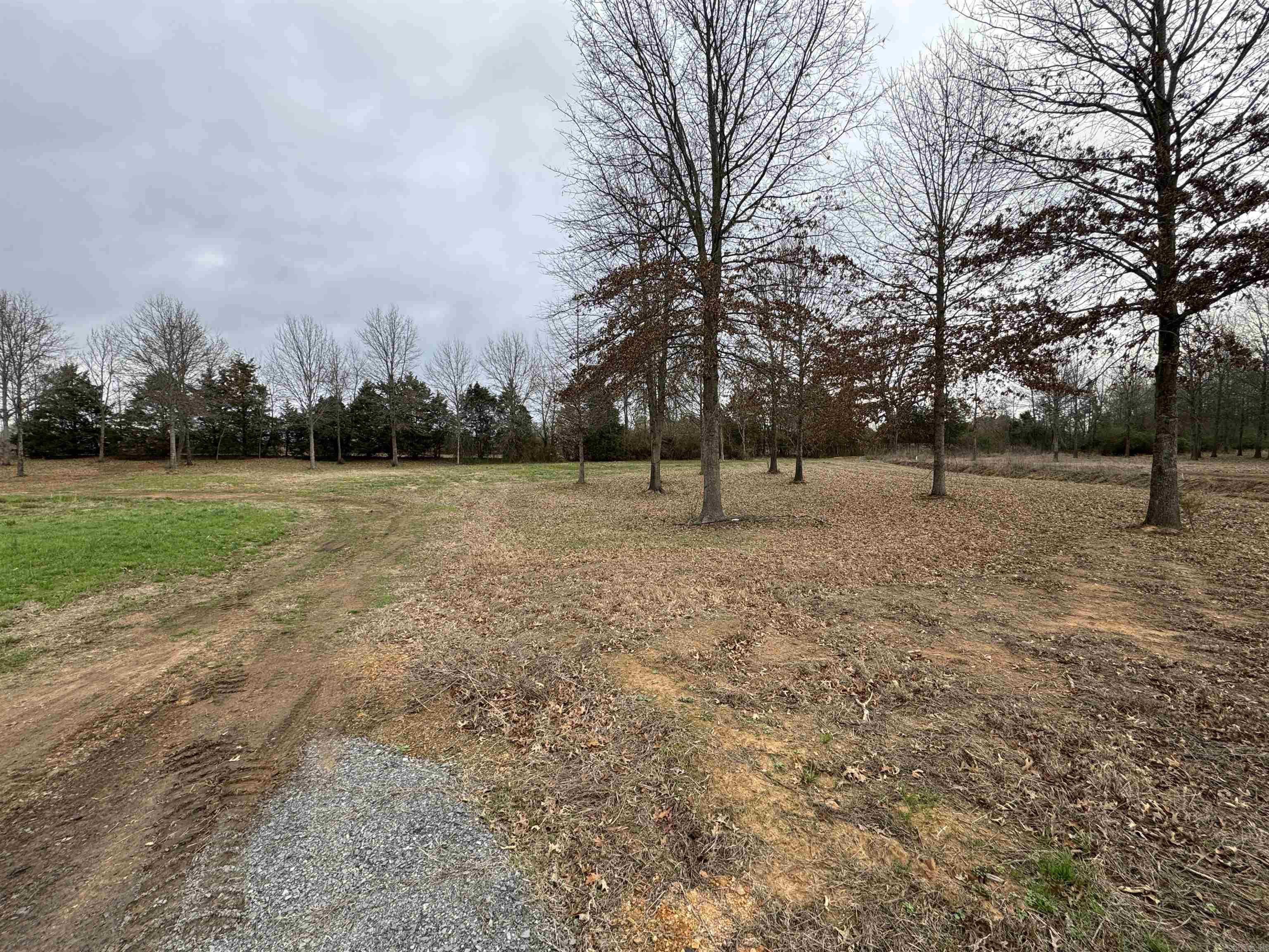 27r River Birch Drive Property Photo 3