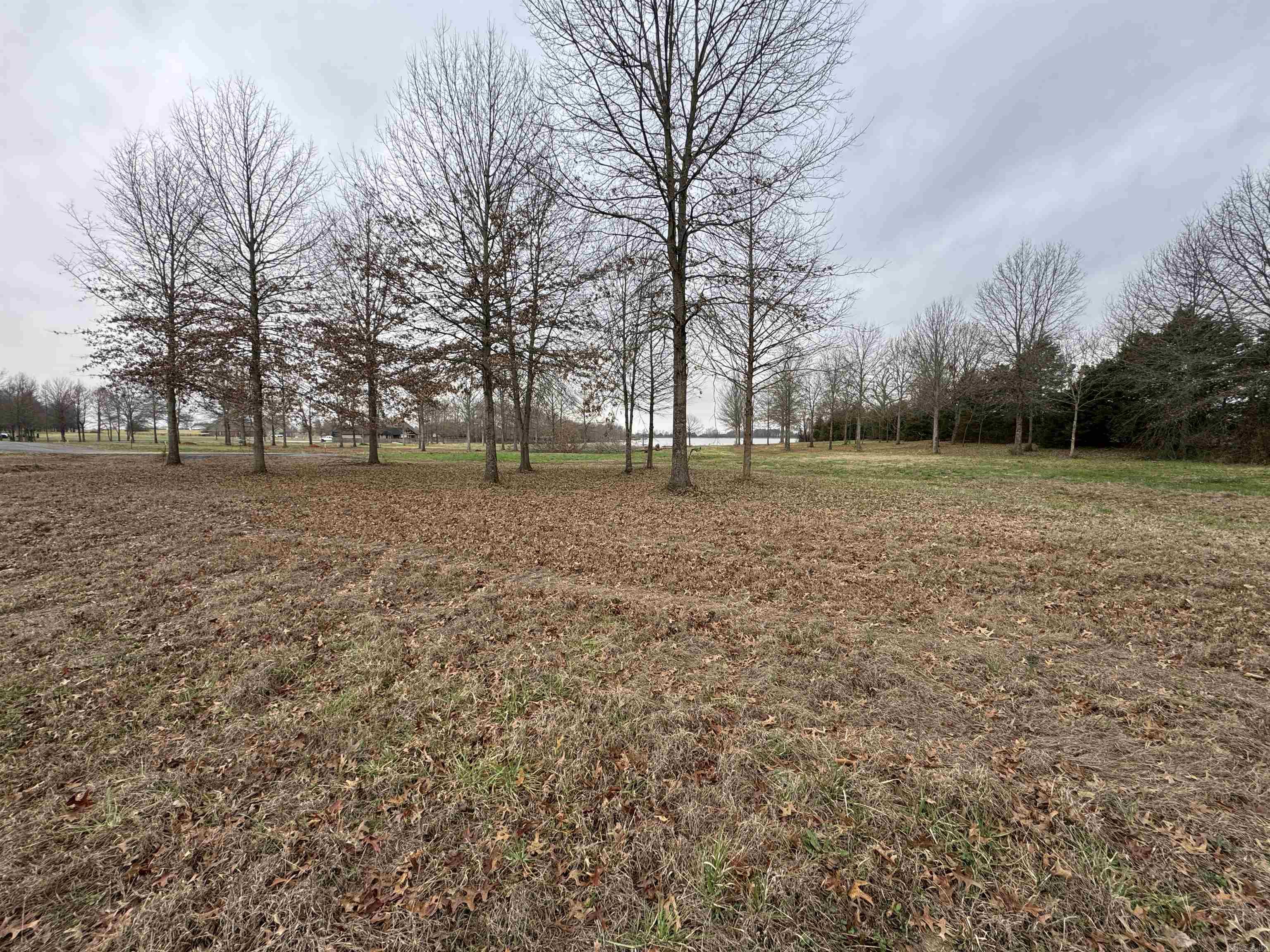 27r River Birch Drive Property Photo 4