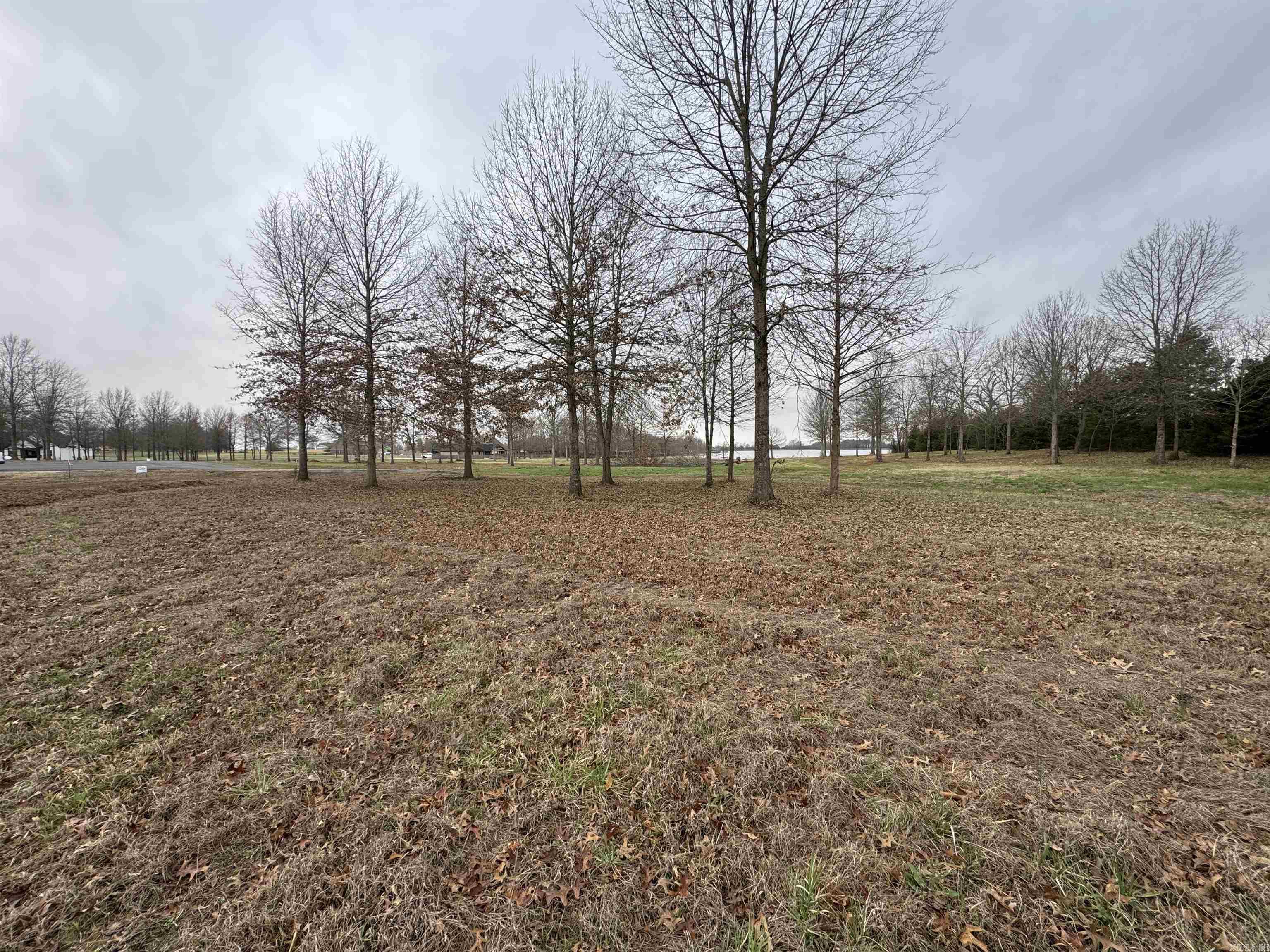 27r River Birch Drive Property Photo 5