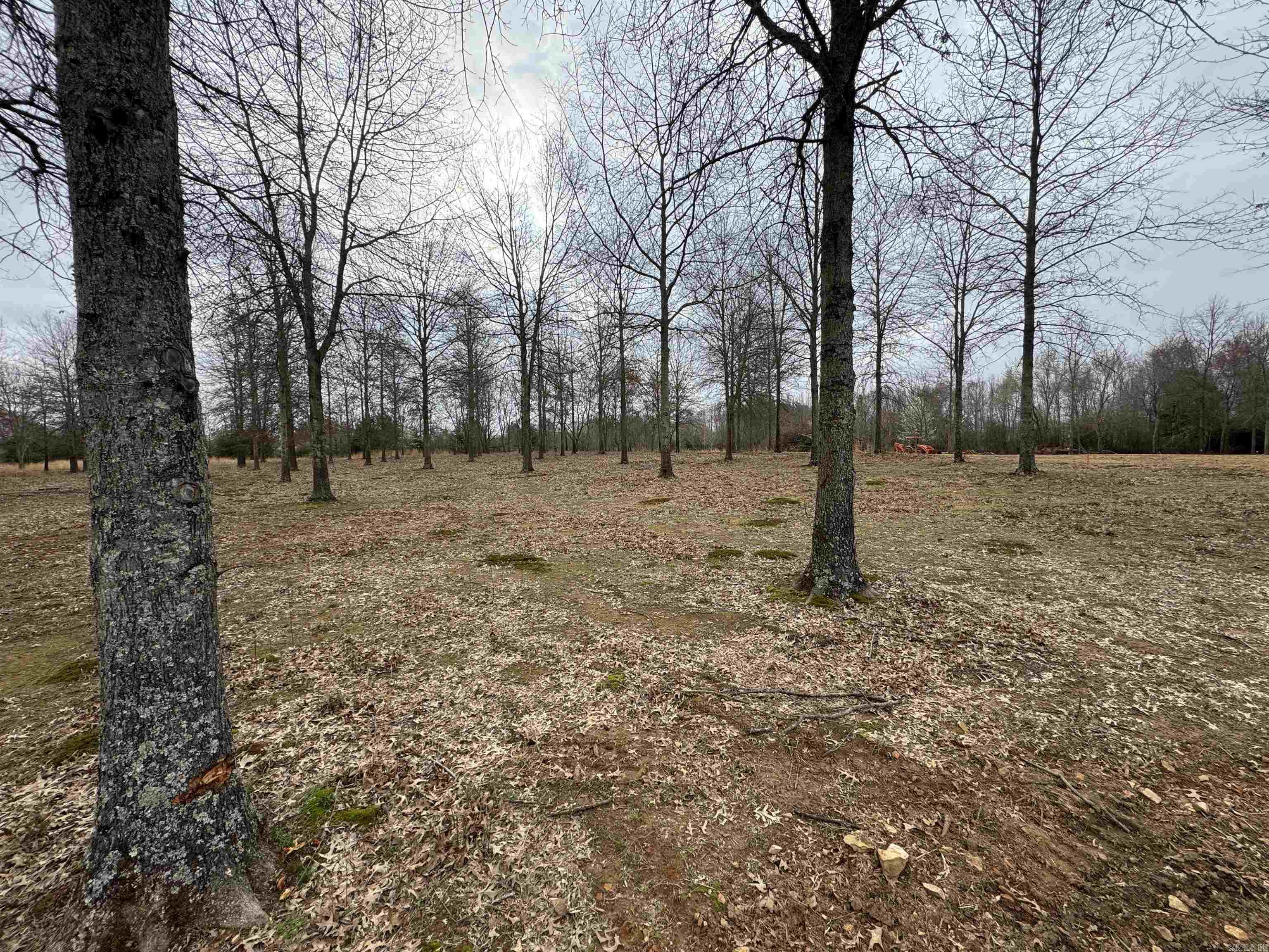 30r River Birch Drive Property Photo 1