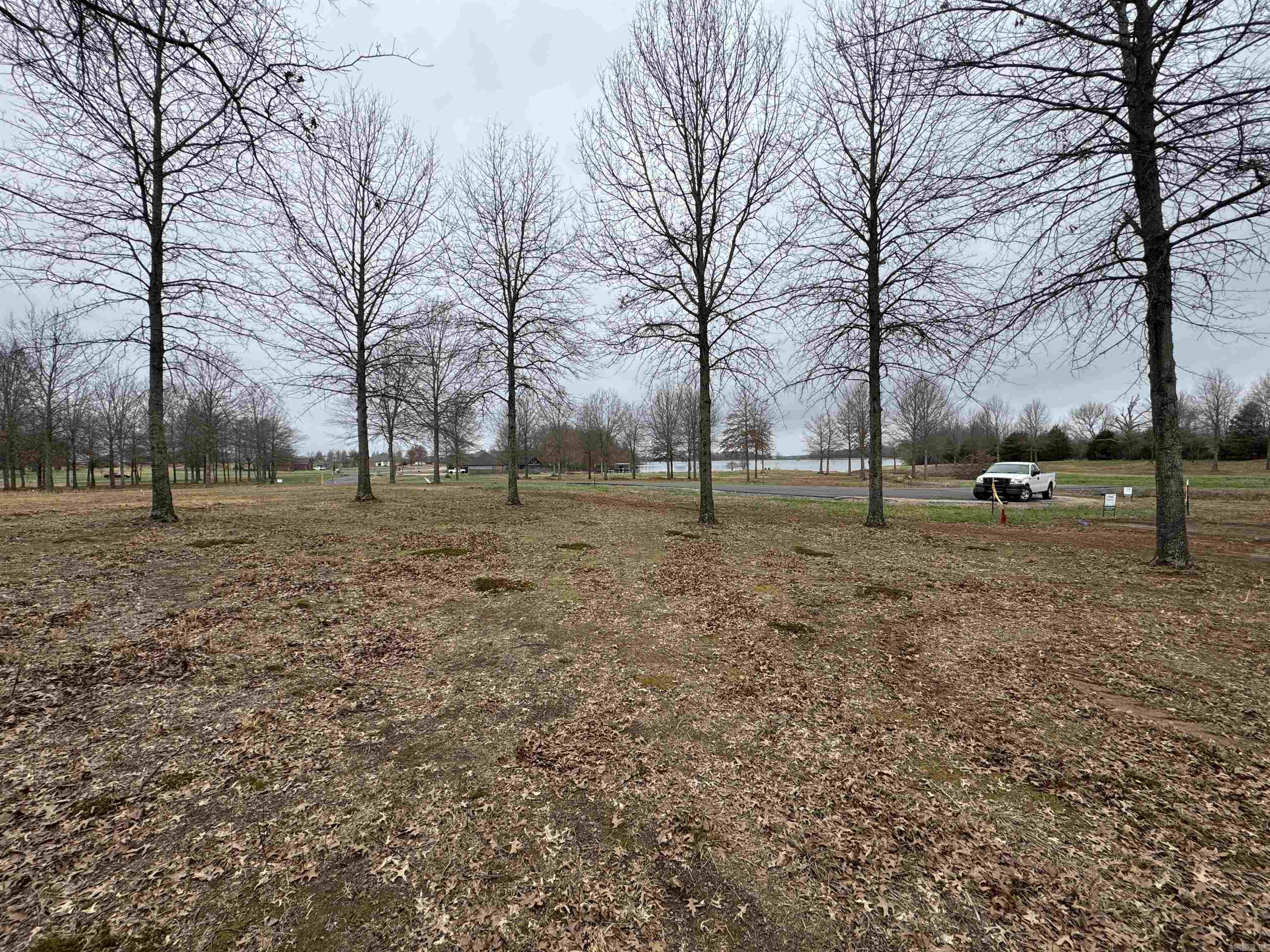 30r River Birch Drive Property Photo 2