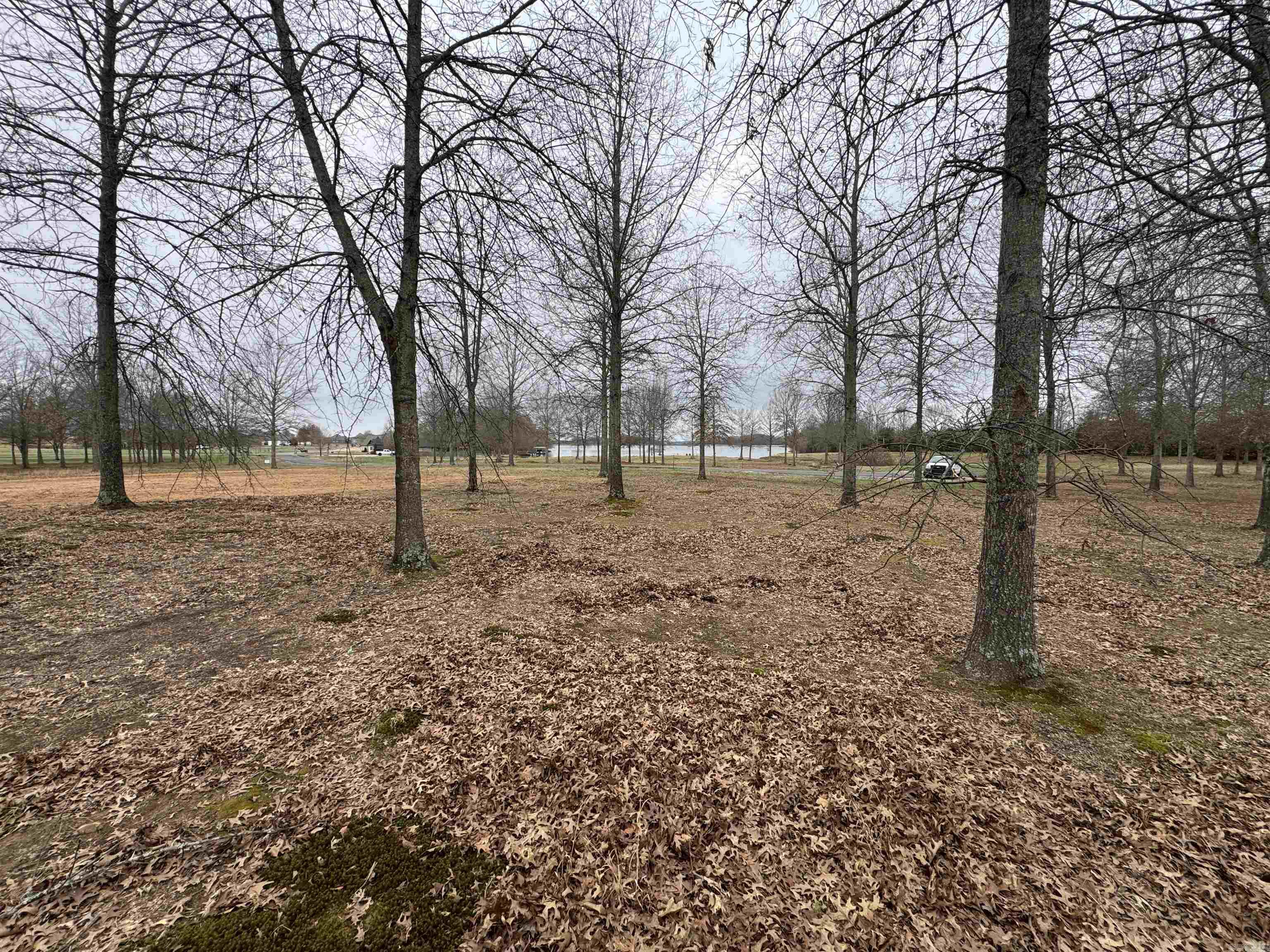 30r River Birch Drive Property Photo 3