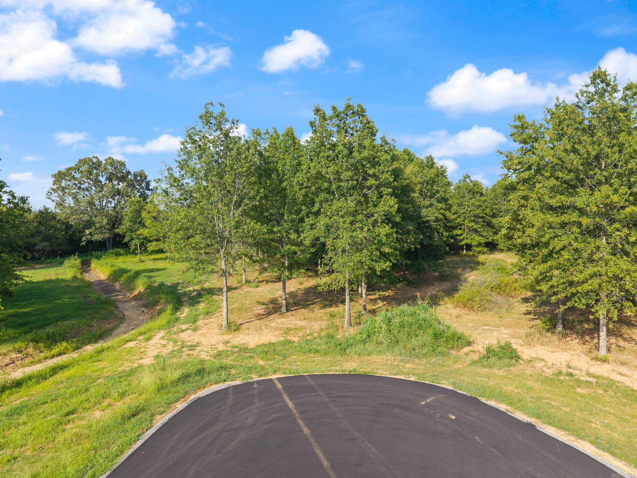 30r River Birch Drive Property Photo 12