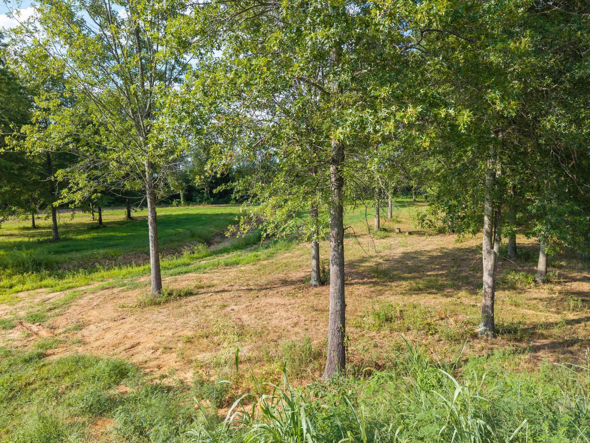 30r River Birch Drive Property Photo 14