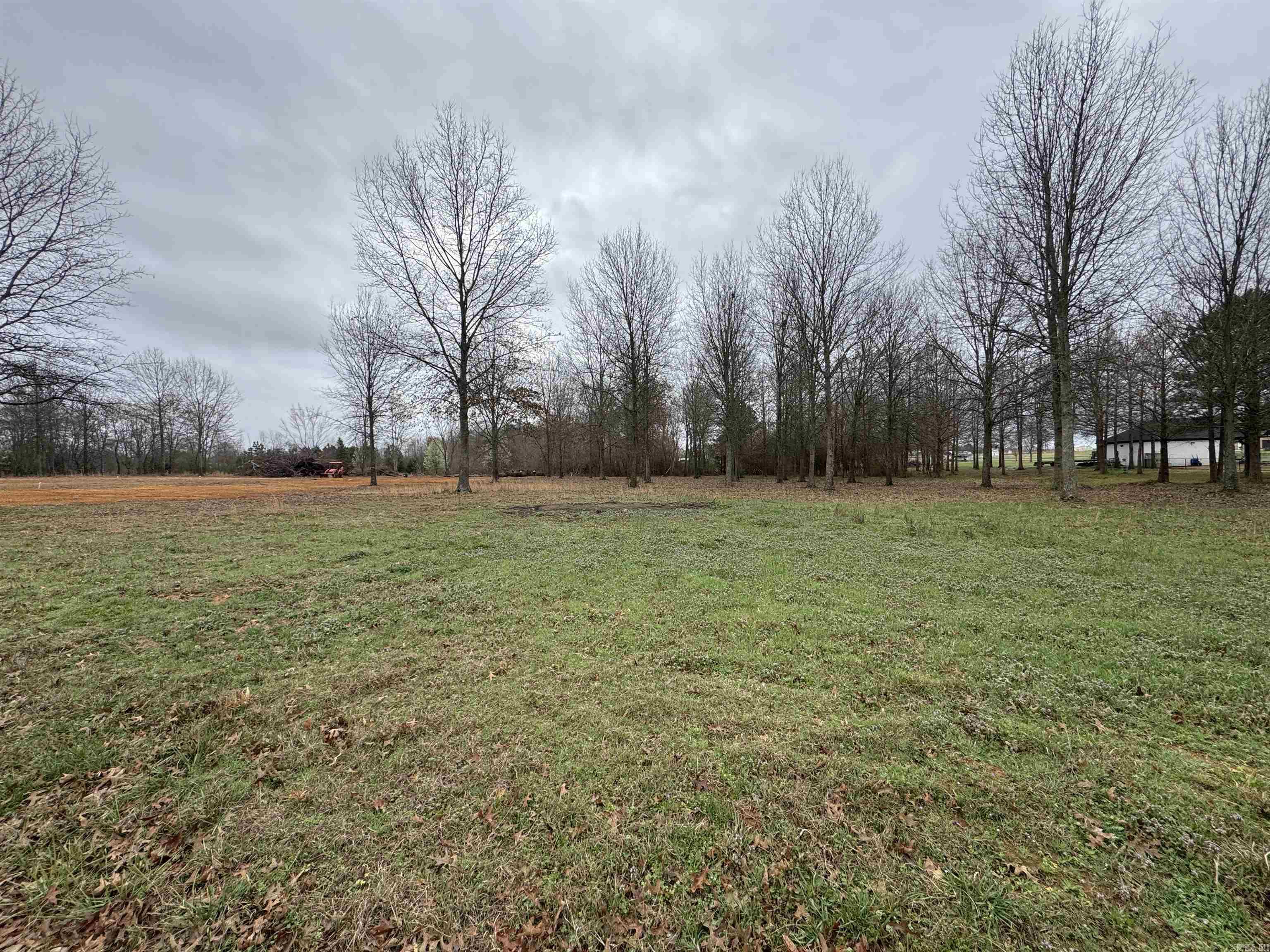 32R River Birch Drive