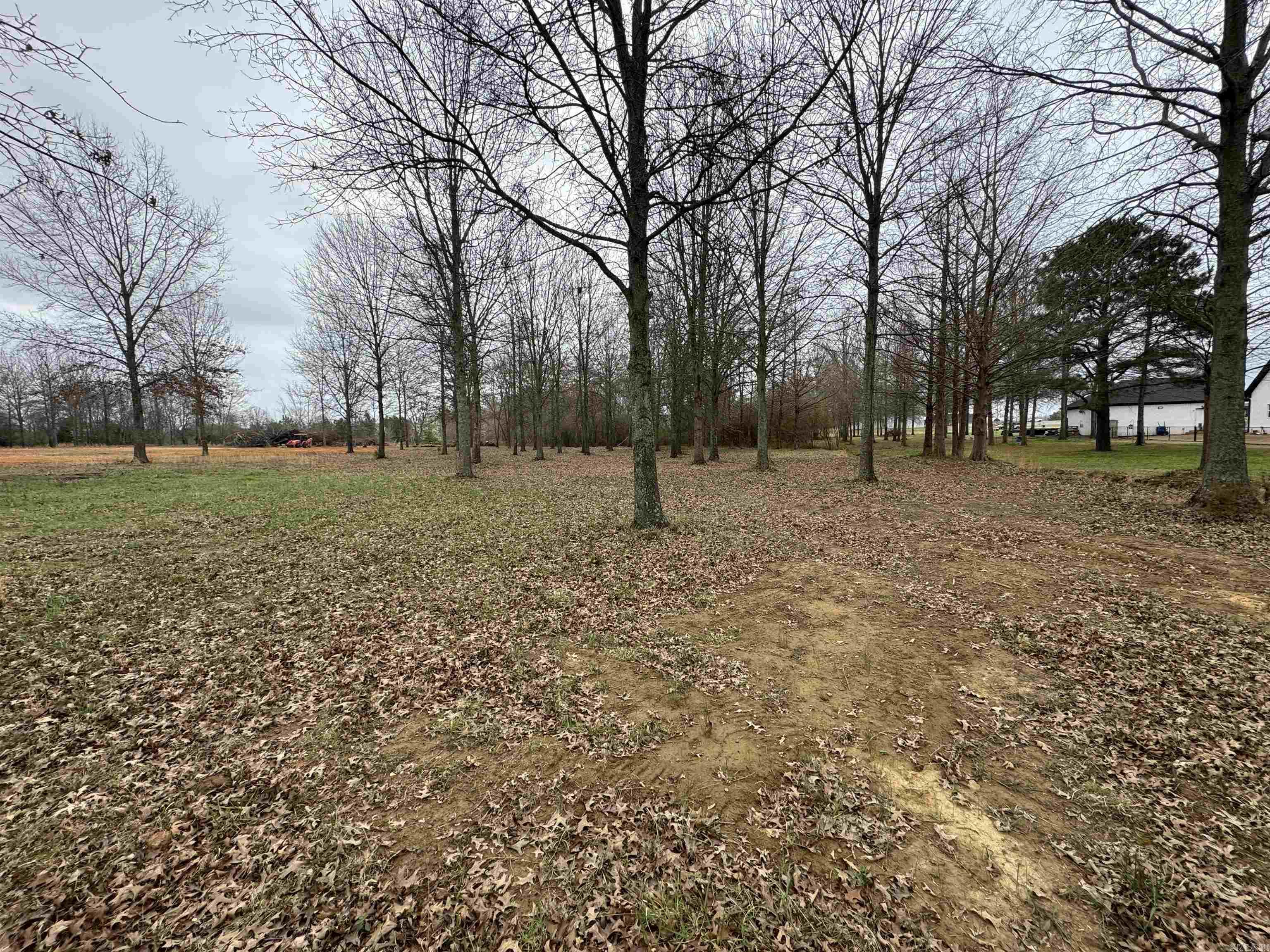 32r River Birch Drive Property Photo 3