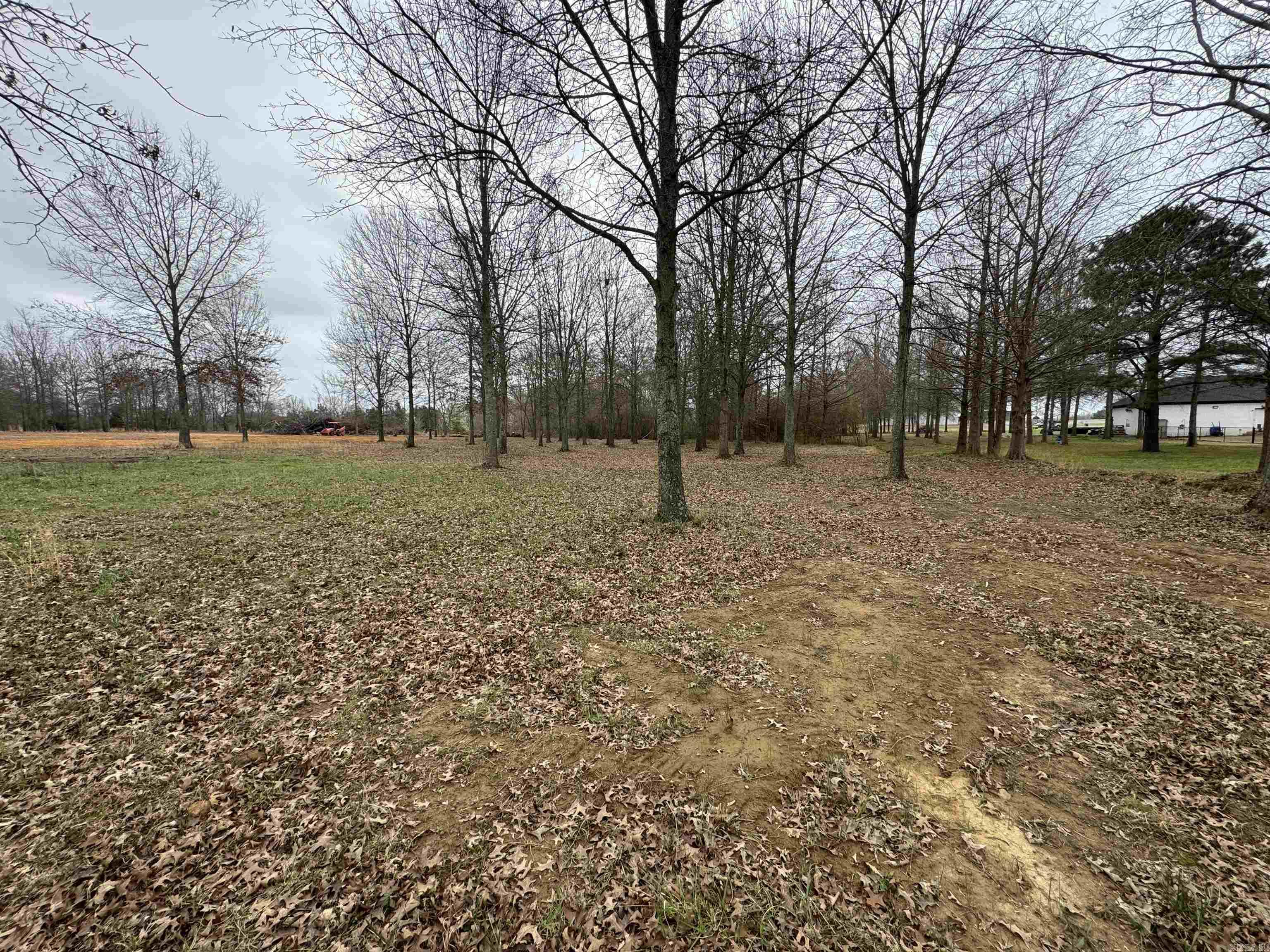 32r River Birch Drive Property Photo 4
