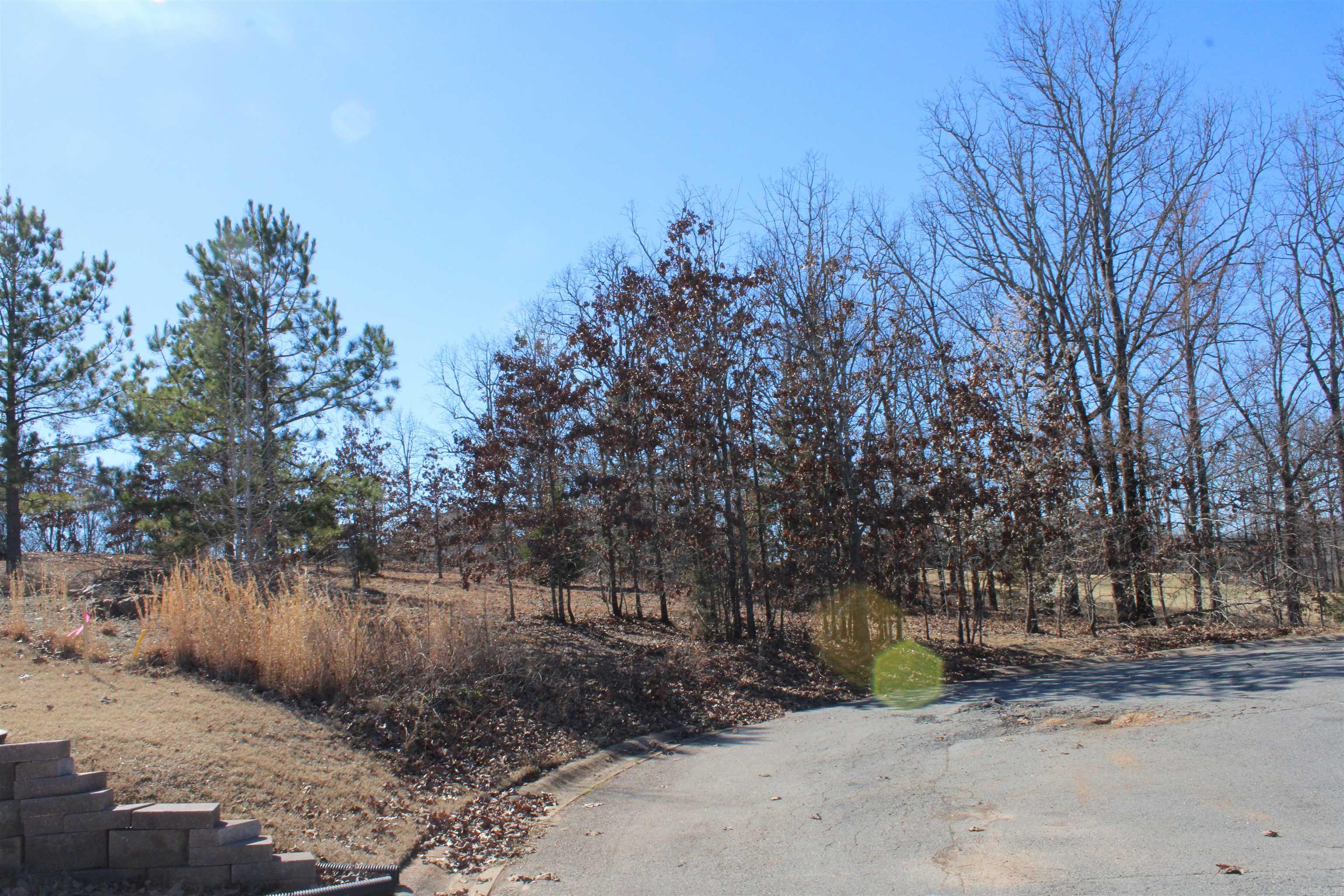 22 Algonquin Court Property Photo 4