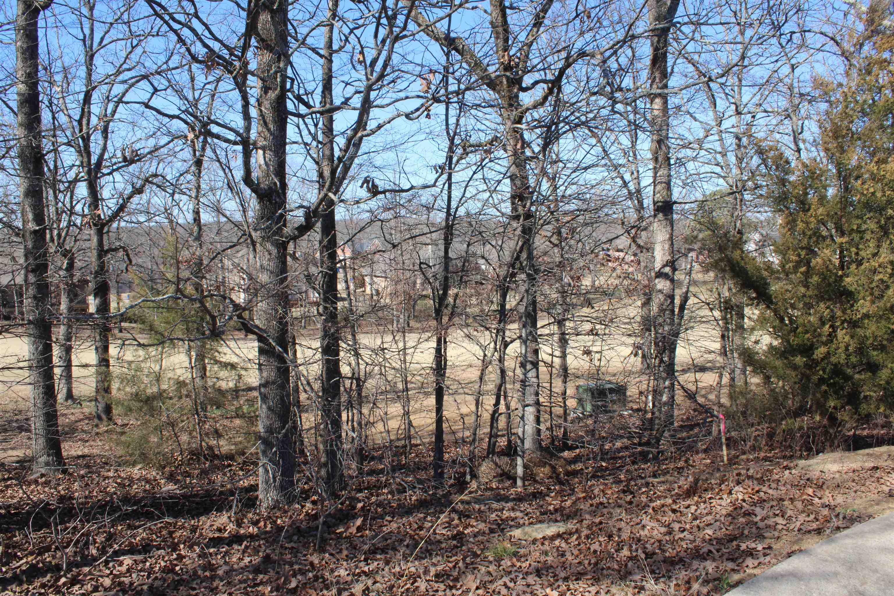 22 Algonquin Court Property Photo 7