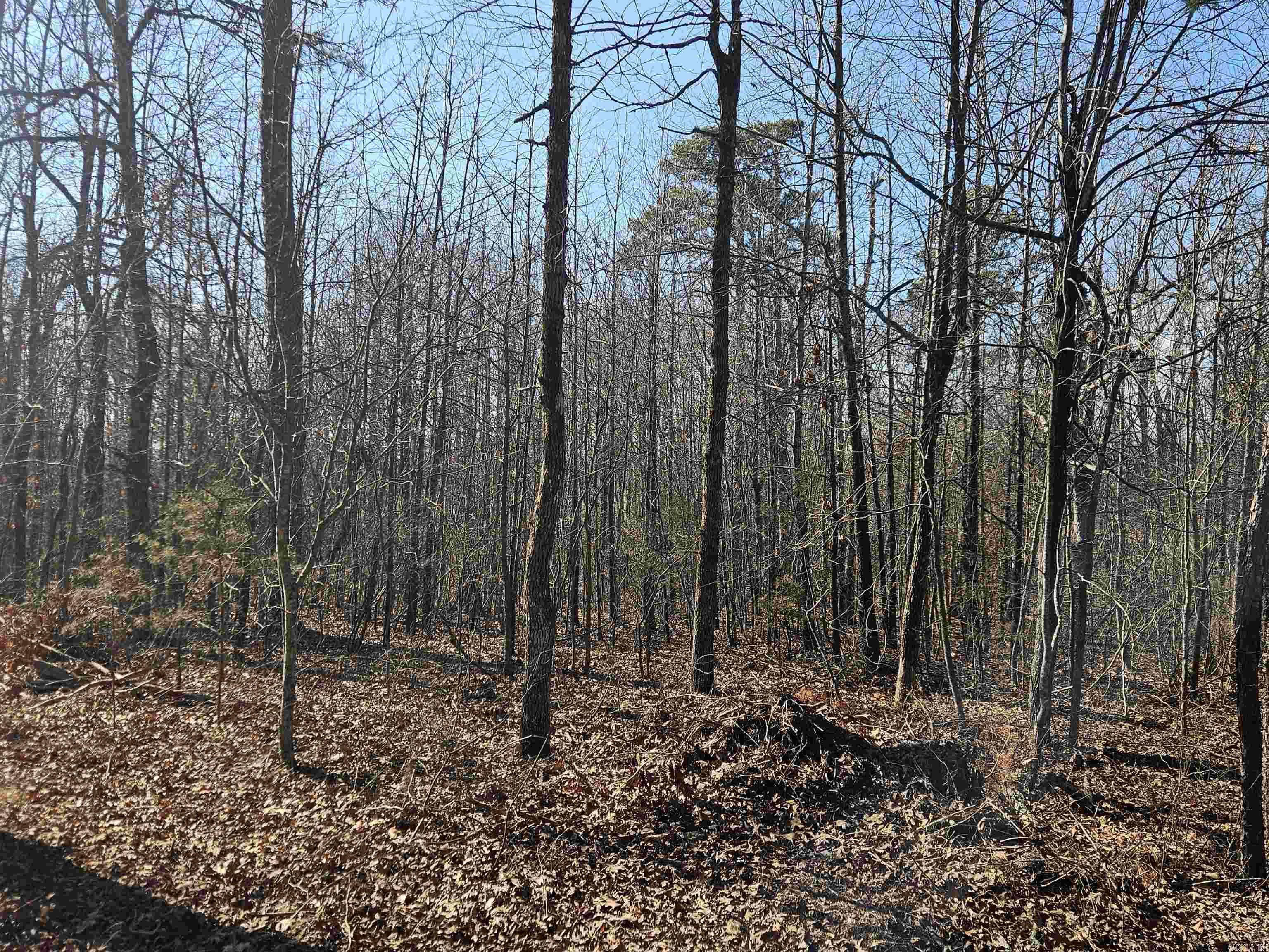 289 Old Stagecoach Road Property Photo 5
