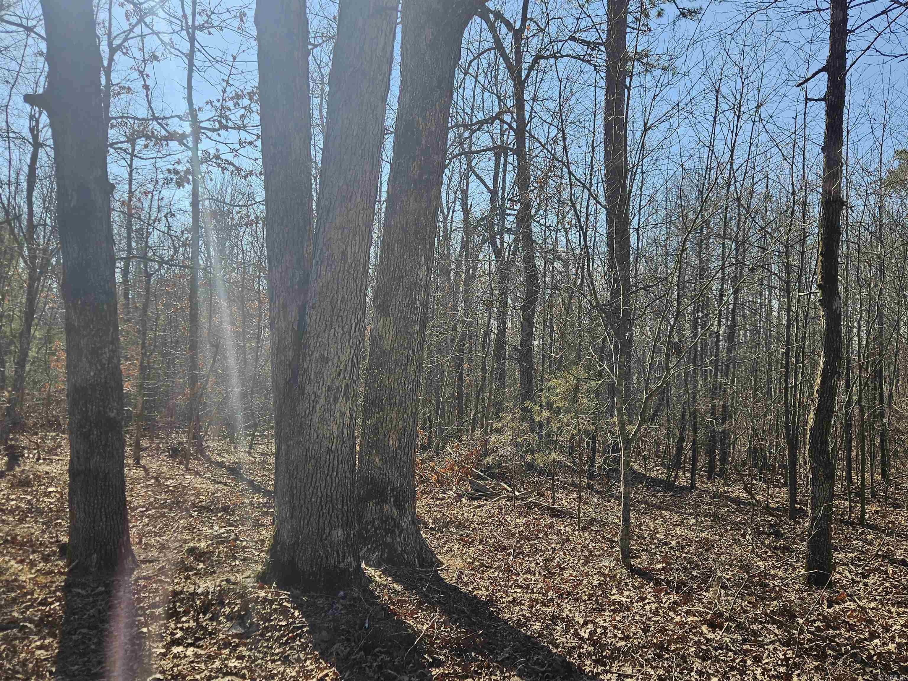 289 Old Stagecoach Road Property Photo 6