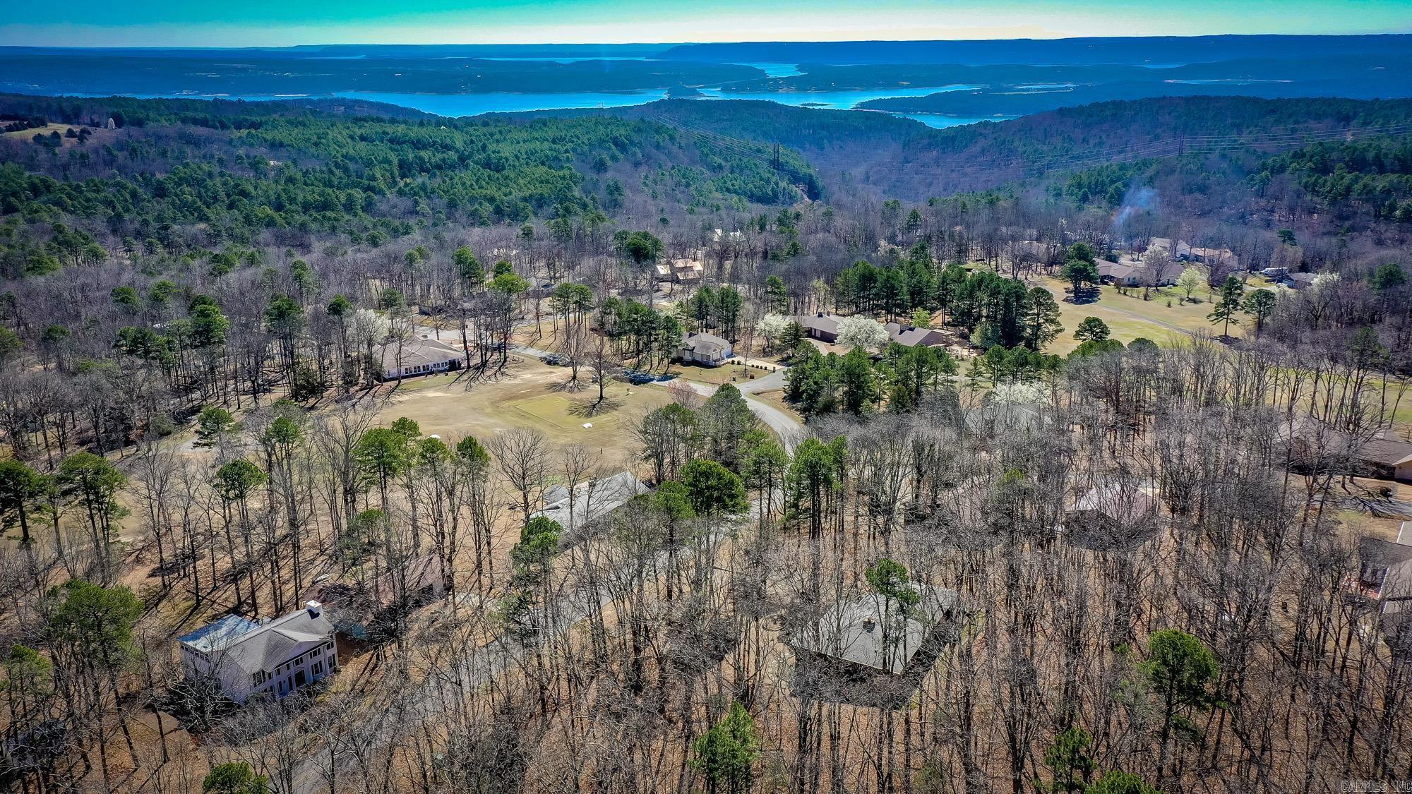 318 Castle Ridge Heights Property Photo 45