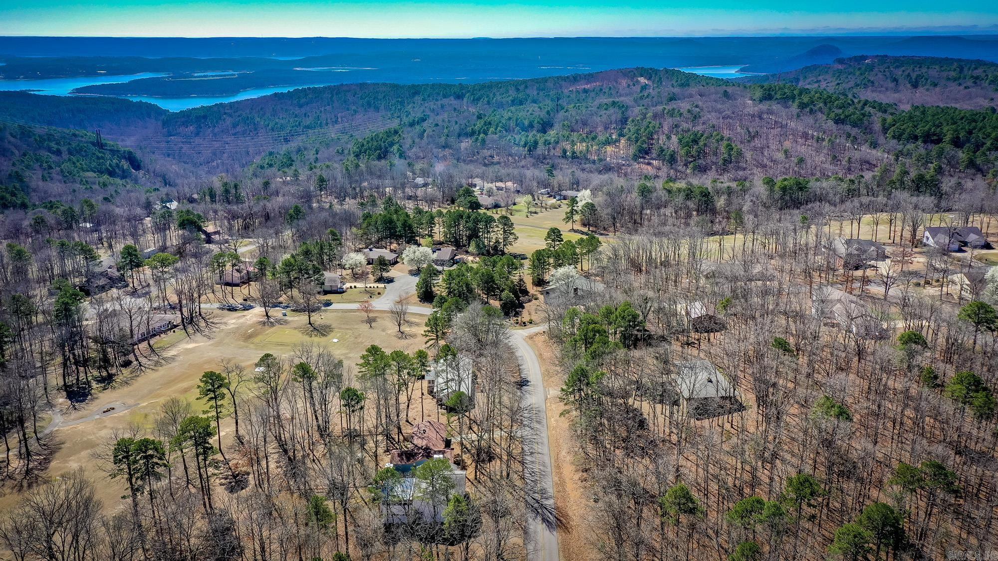 318 Castle Ridge Heights Property Photo 46